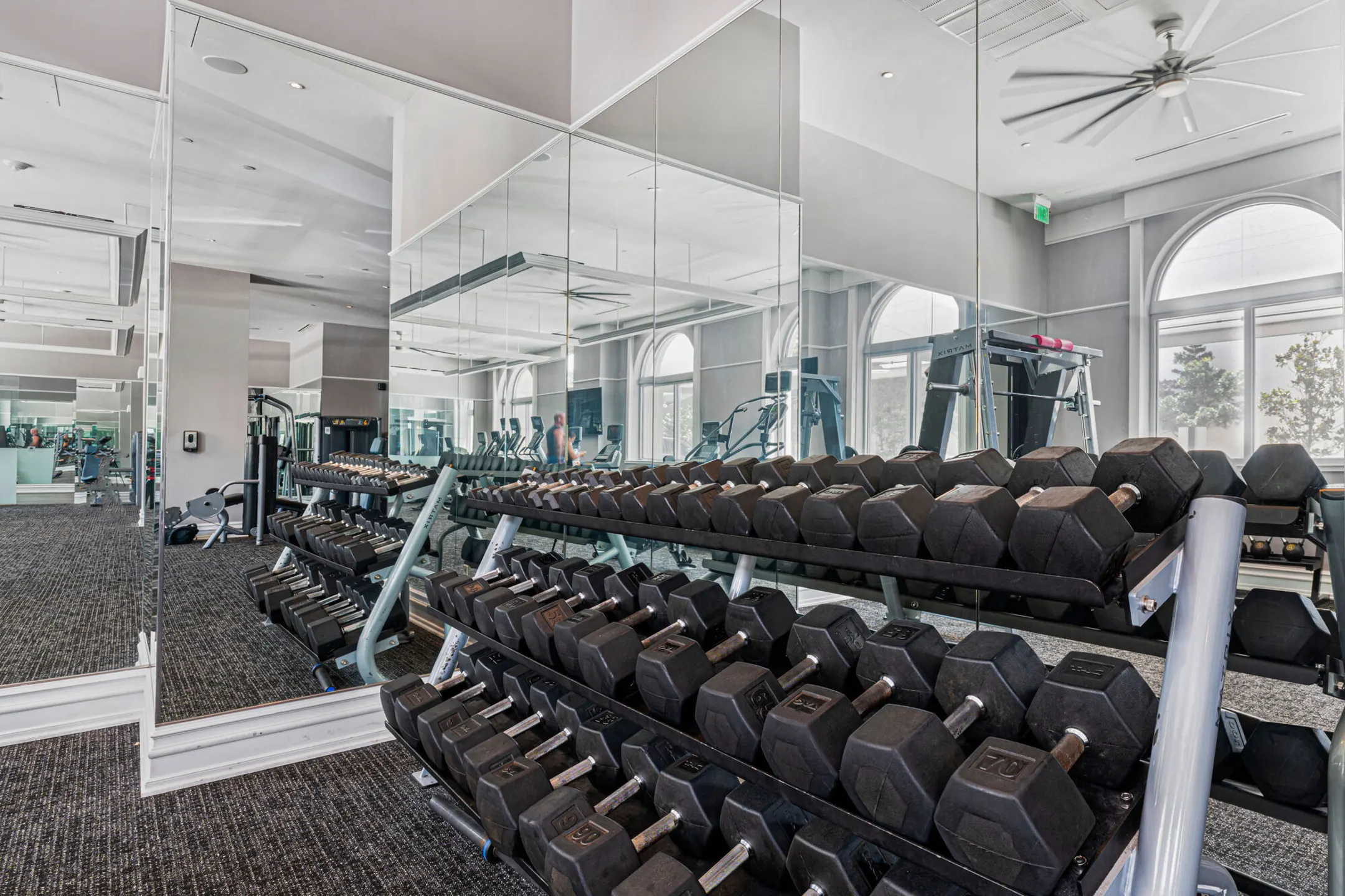Fitness Weight Room - Olympus Harbour Island - Tampa, FL