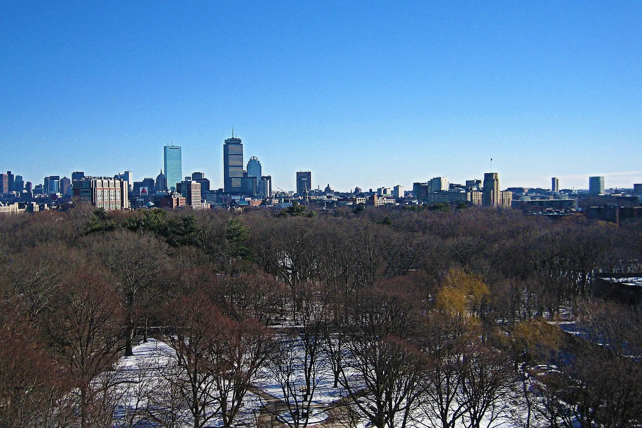 Dexter Park Apartments Brookline, MA 02446