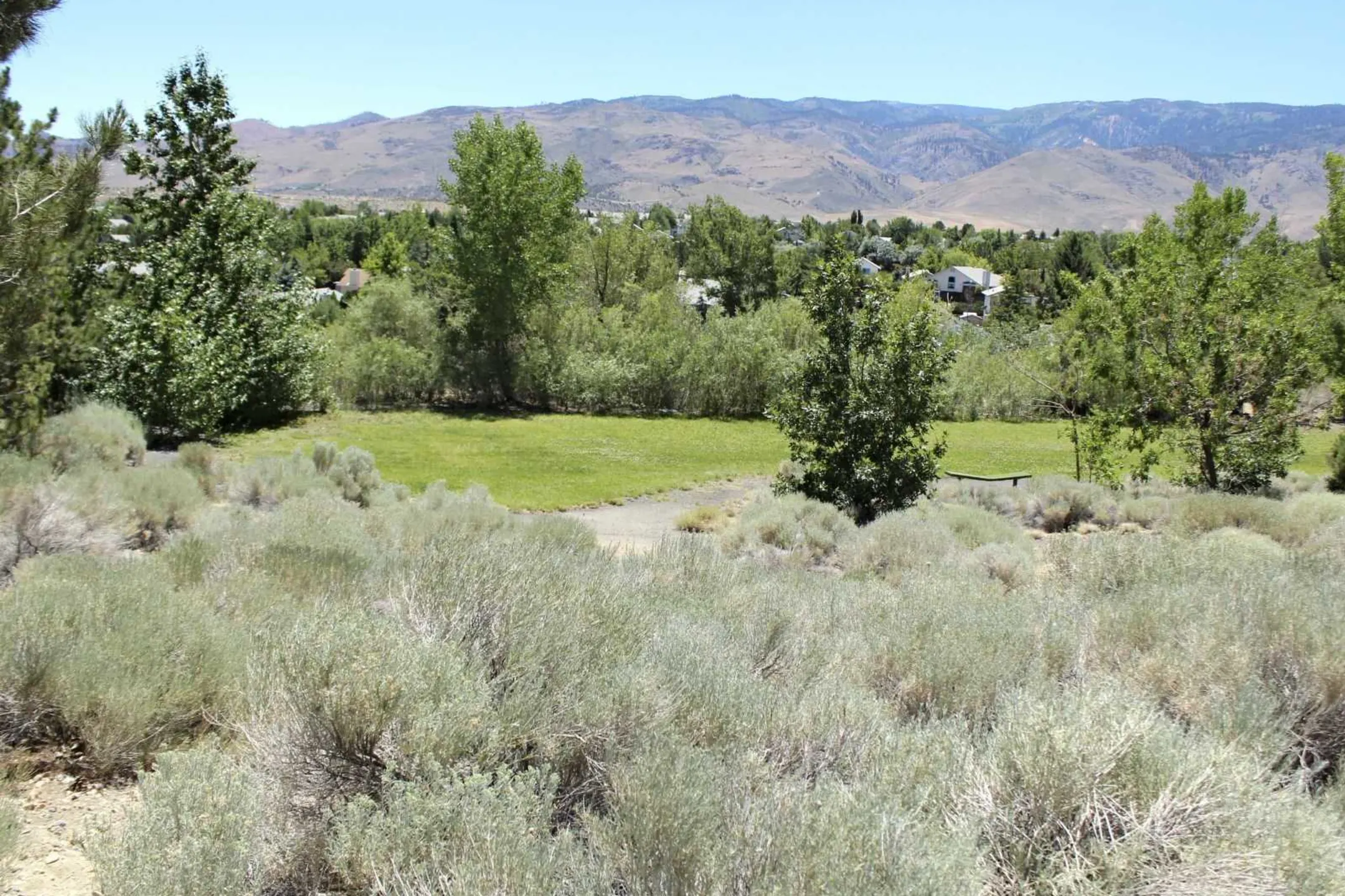 Landscaping - Club Ambassador - Reno, NV