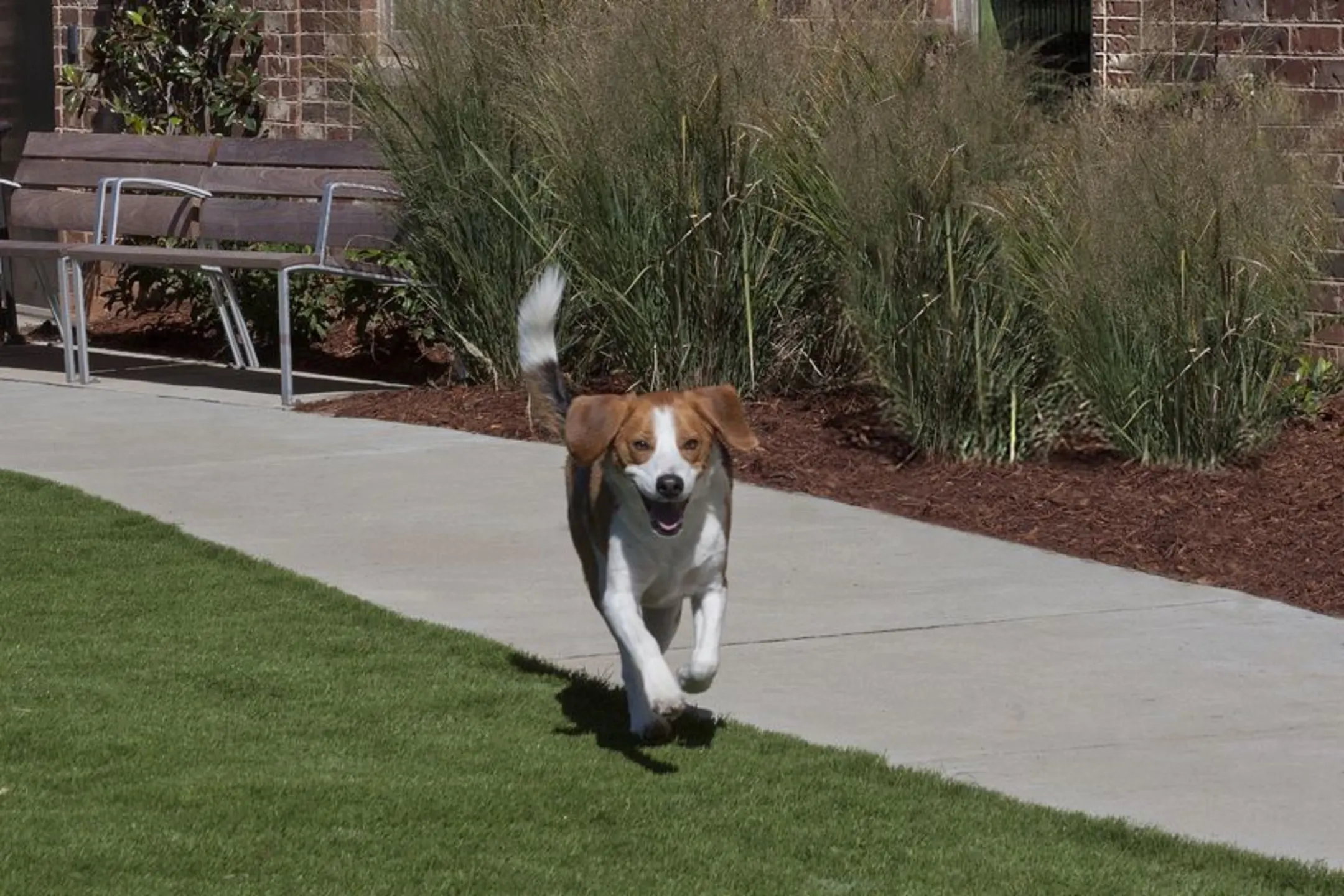 Camden Southline Apartments Apartments Charlotte, NC 28203