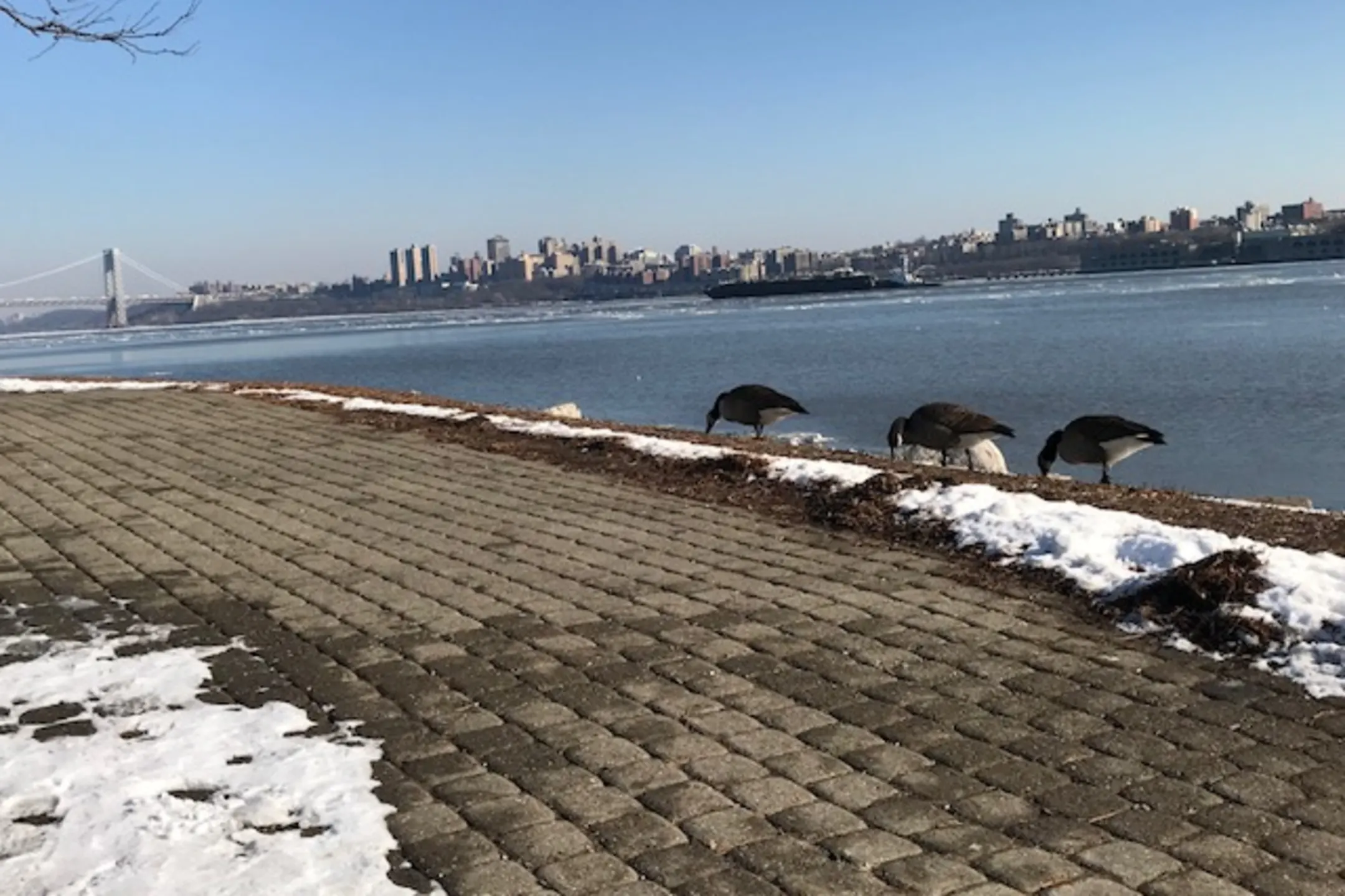 Mariners Landing 312 Portside Dr Edgewater, NJ Apartments for Rent