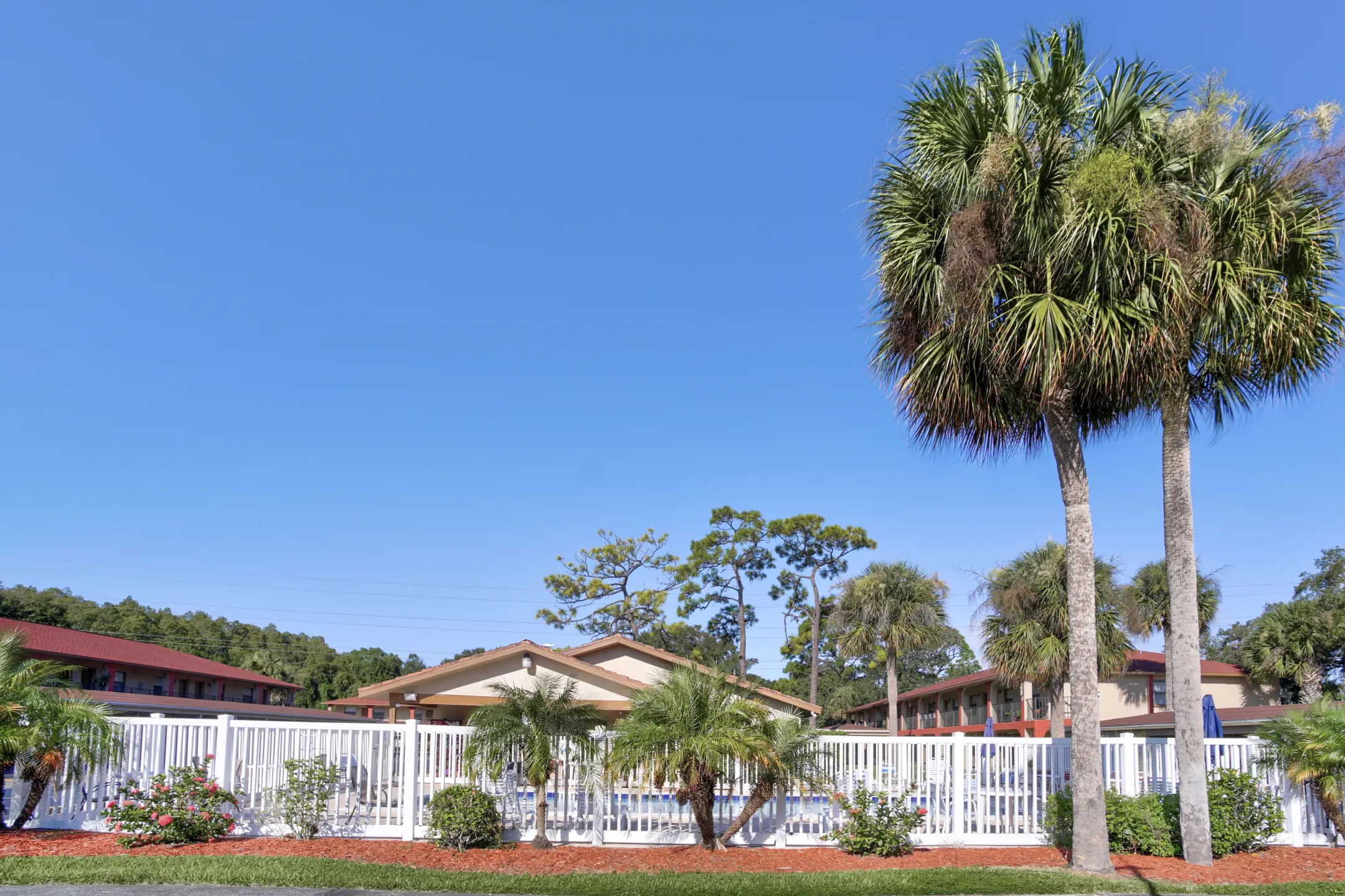 Apartments In Tarpon Springs Florida