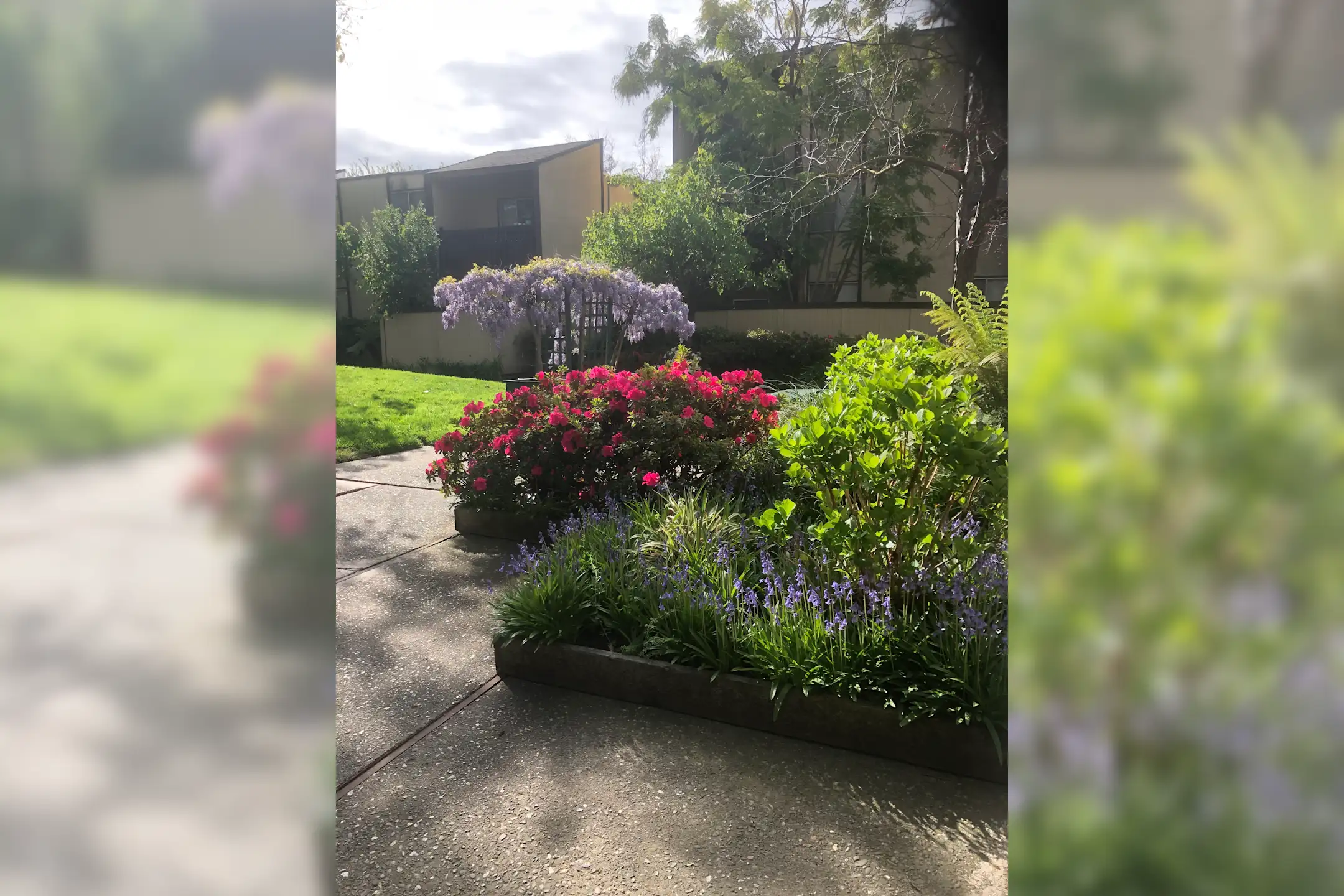 The Terrace Apartments 111 Cleaveland Rd Pleasant Hill, CA