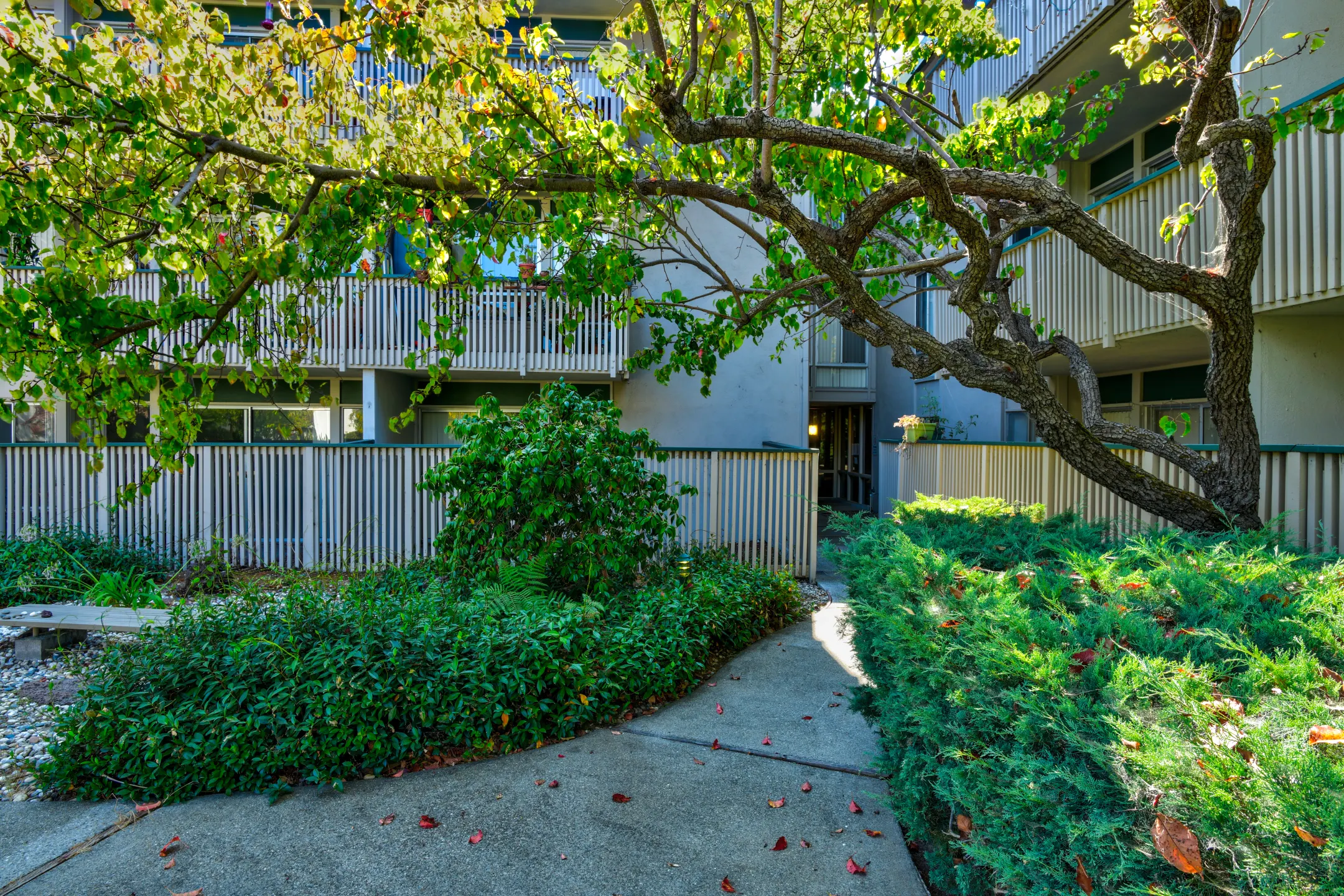 Clubhouse - Tradewinds Apartments - Foster City, CA