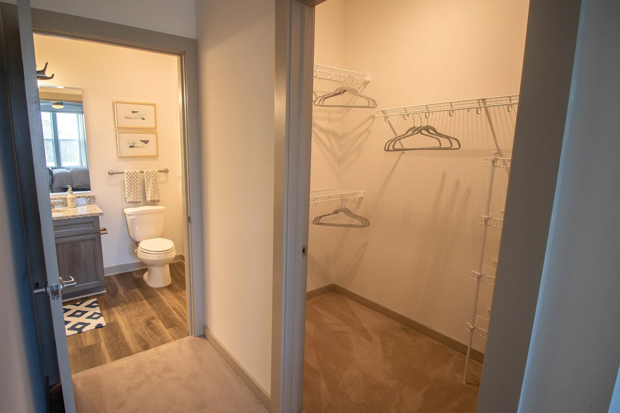 The Jane Moore's Lake Apartments Apartments Chester, VA 23831