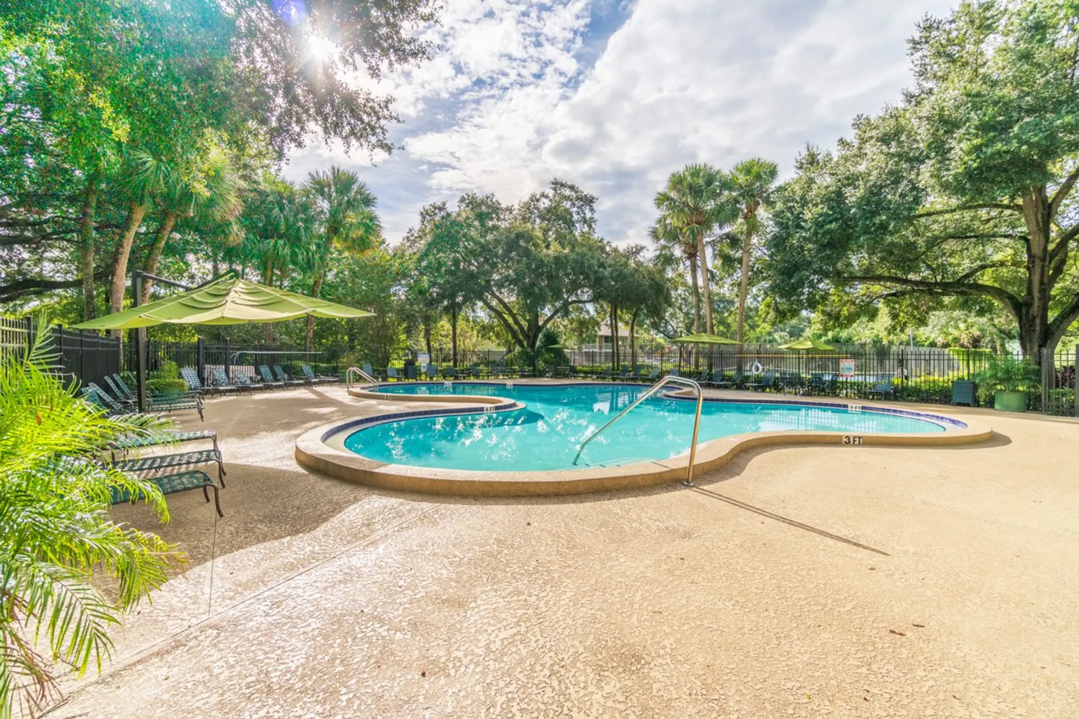 Pool - Laurel Oaks Apartments - Temple Terrace, FL