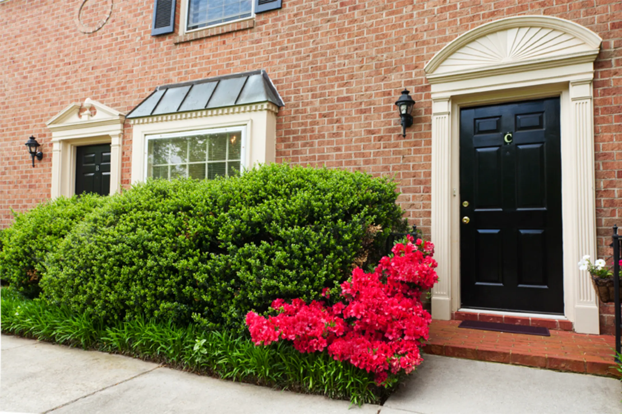 Strawberry Hill - Charlotte, NC