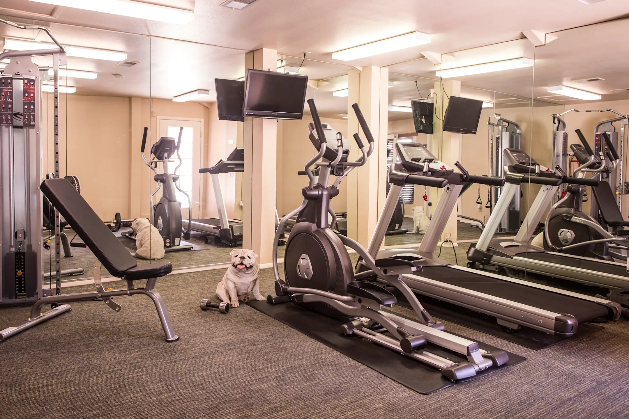 Fitness Weight Room - Sunset Landing - Glendale, AZ