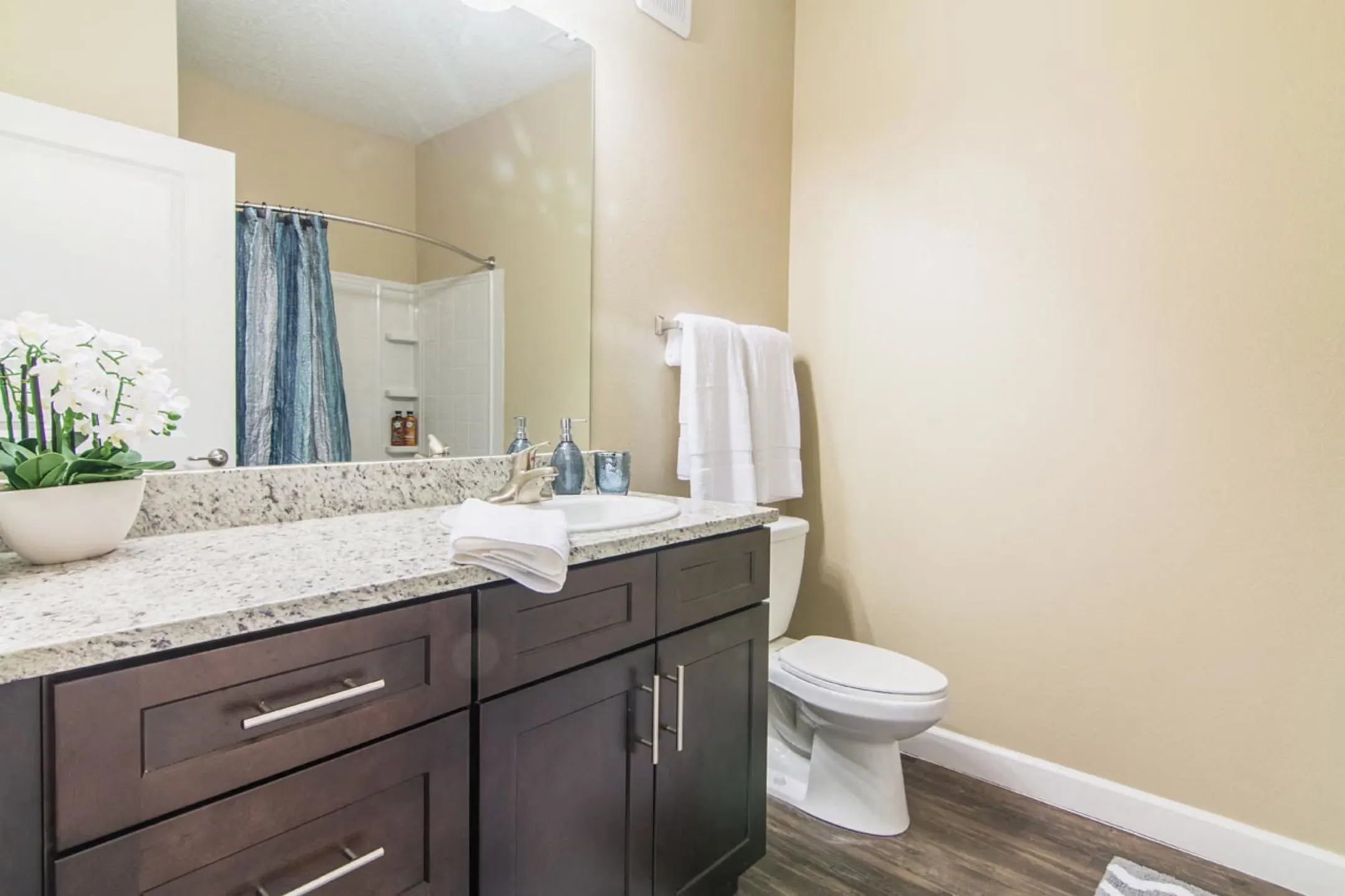 Oasis at Lake 906 Oasis Palm Circle Ocoee, FL Apartments for