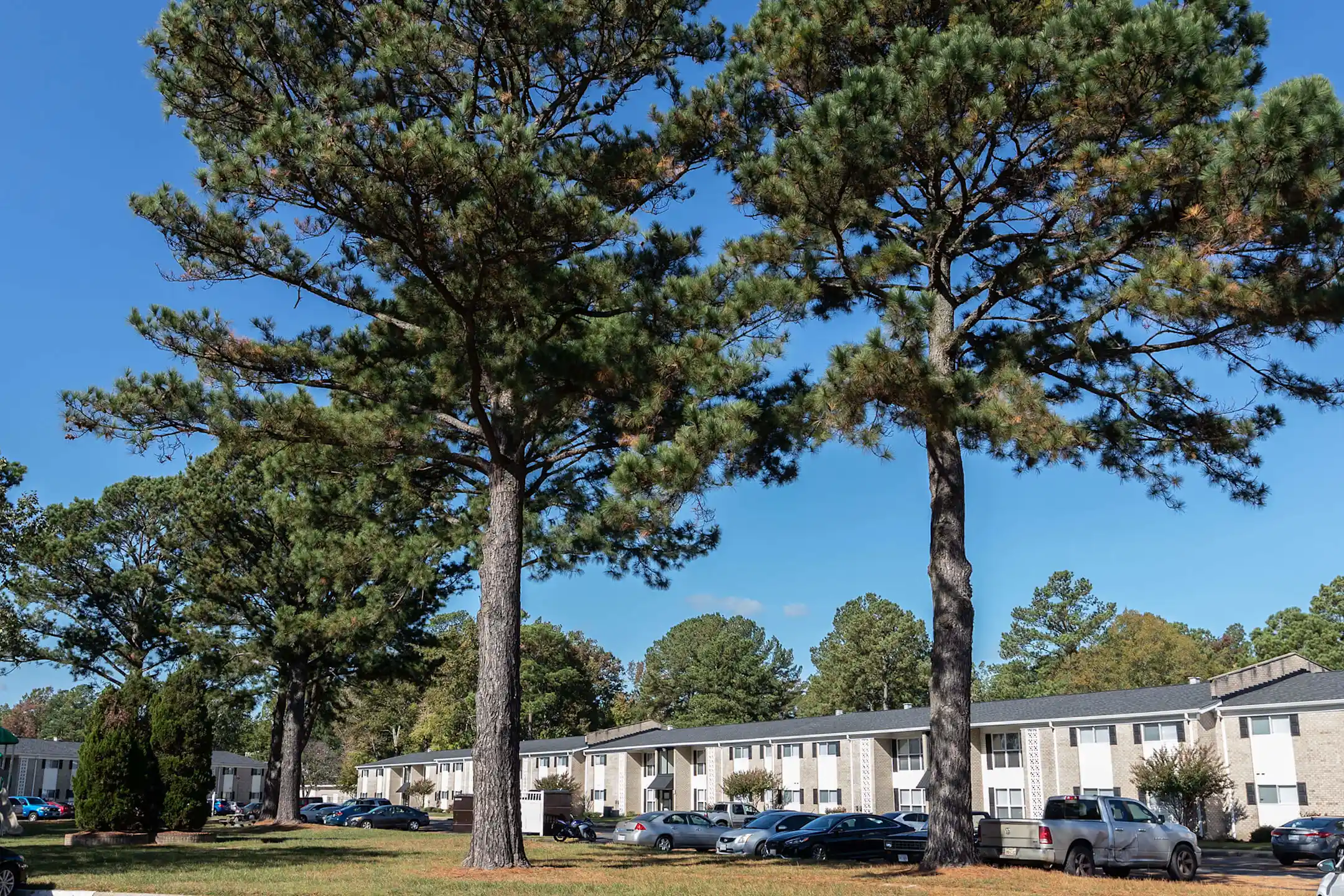 Newport Landing Apartments Newport News, VA 23601