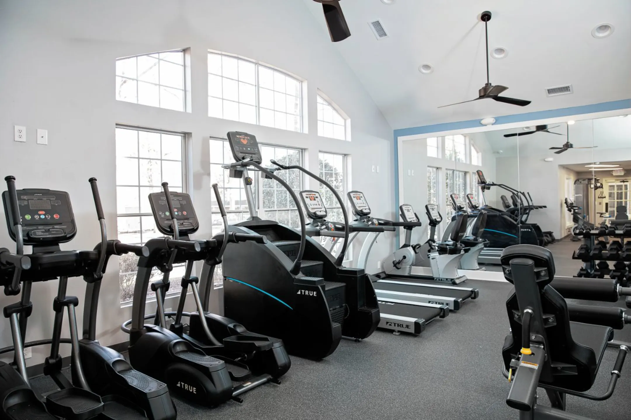 Fitness Weight Room - ARIUM Trailwood - Raleigh, NC