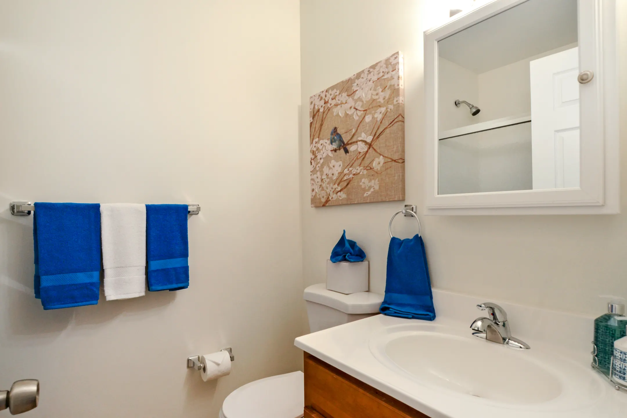 Bathroom - Middleboro Apartments - Wilmington, DE