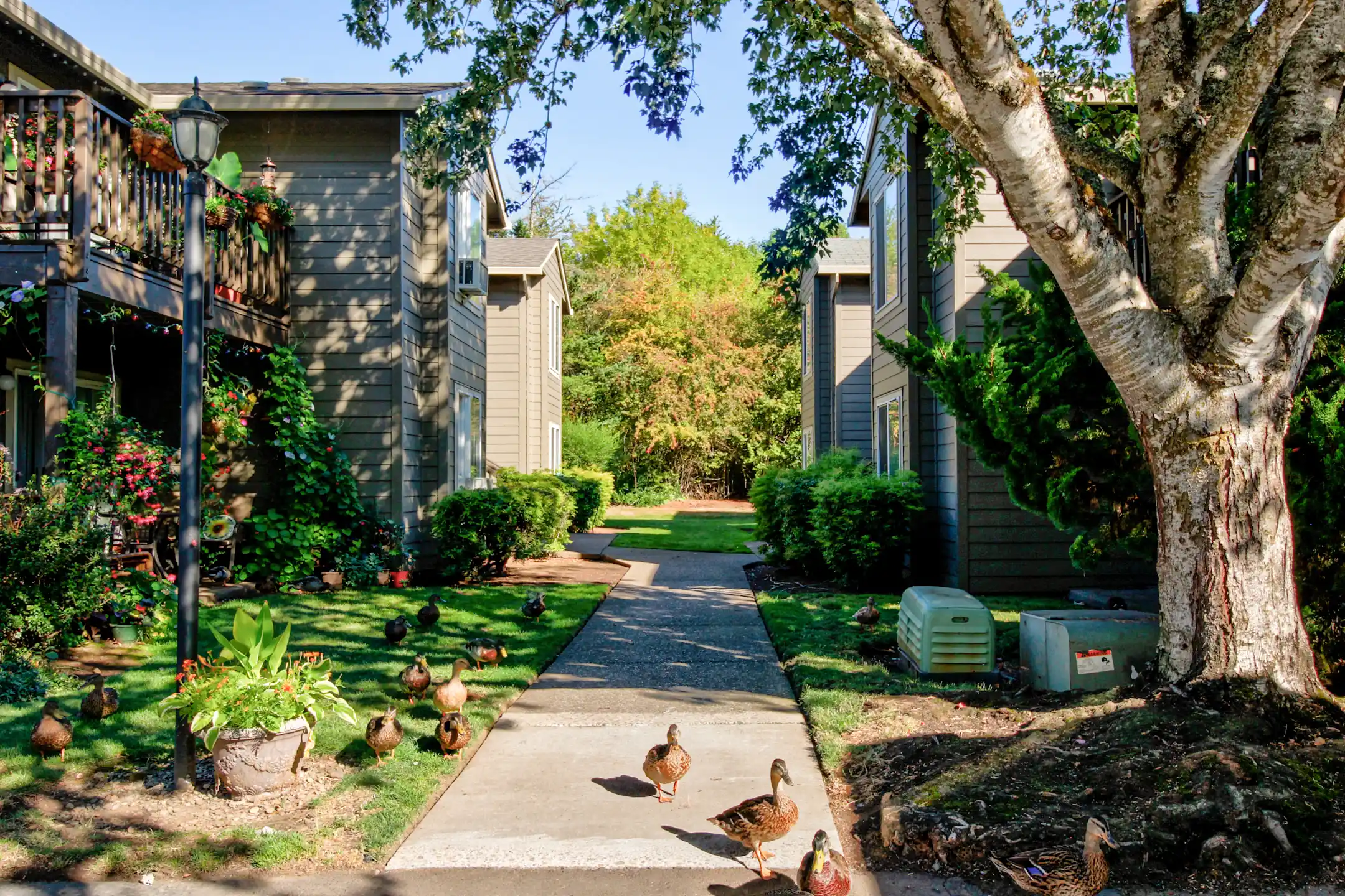 Pioneer Ridge Apartments Oregon City, OR 97045