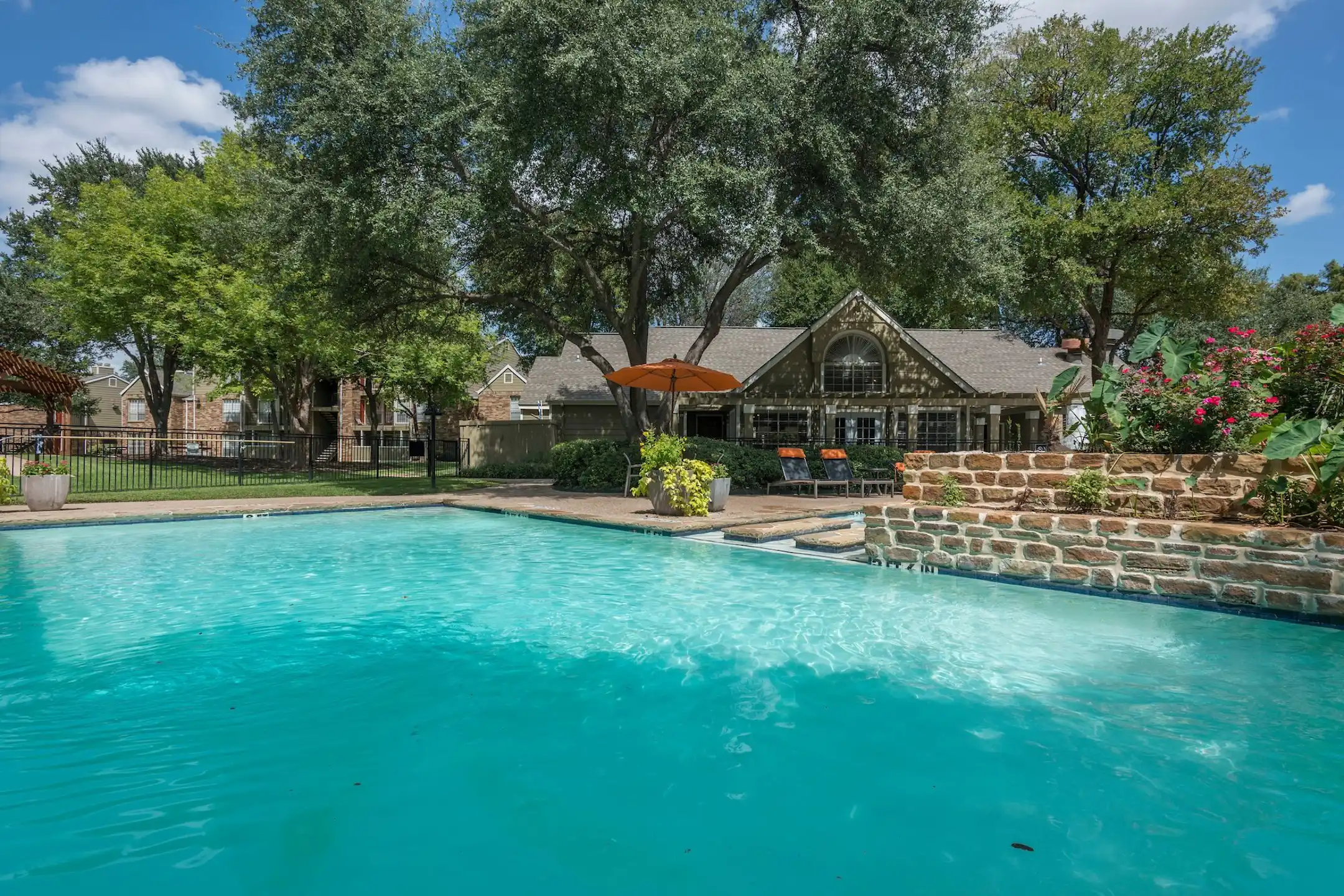 Pool - Harmony - Arlington, TX