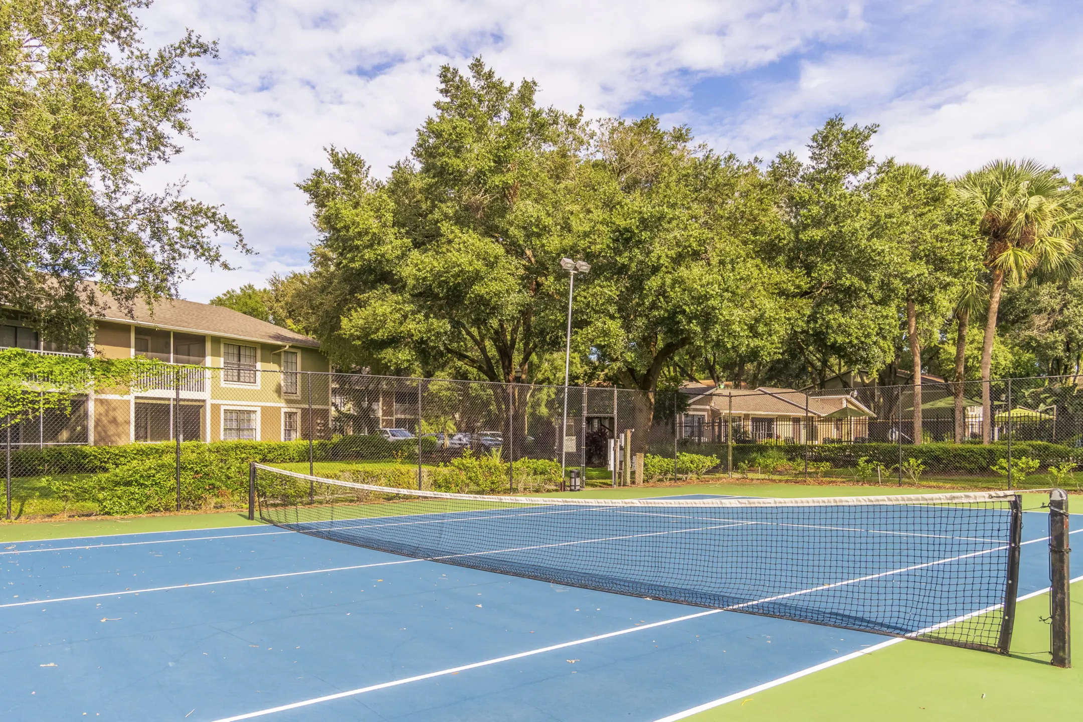 Recreation Area - Laurel Oaks Apartments - Temple Terrace, FL
