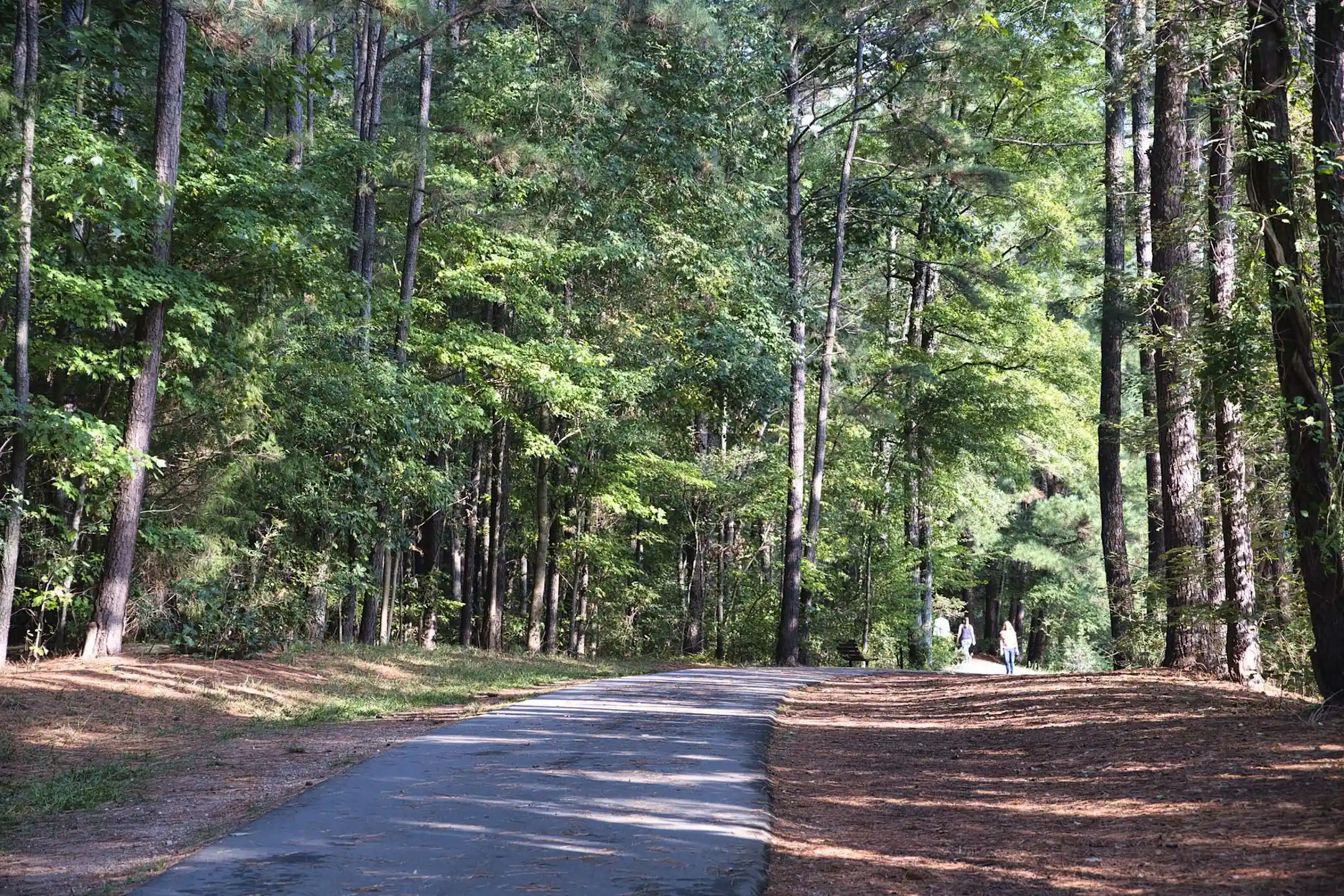 Camden Lake Pine Apartments Apex, NC 27523