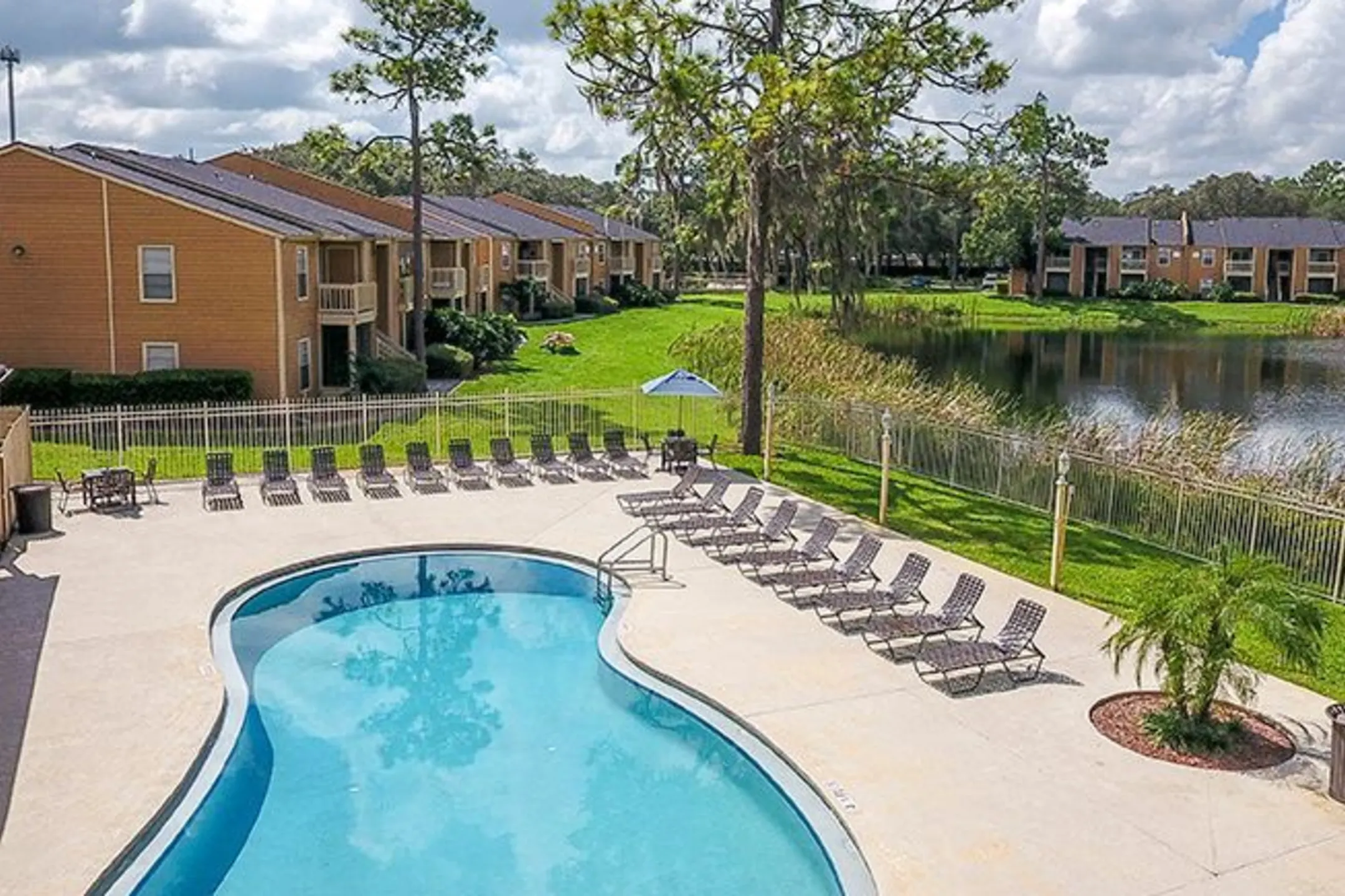 Pool - Windwood Oaks - Tampa, FL