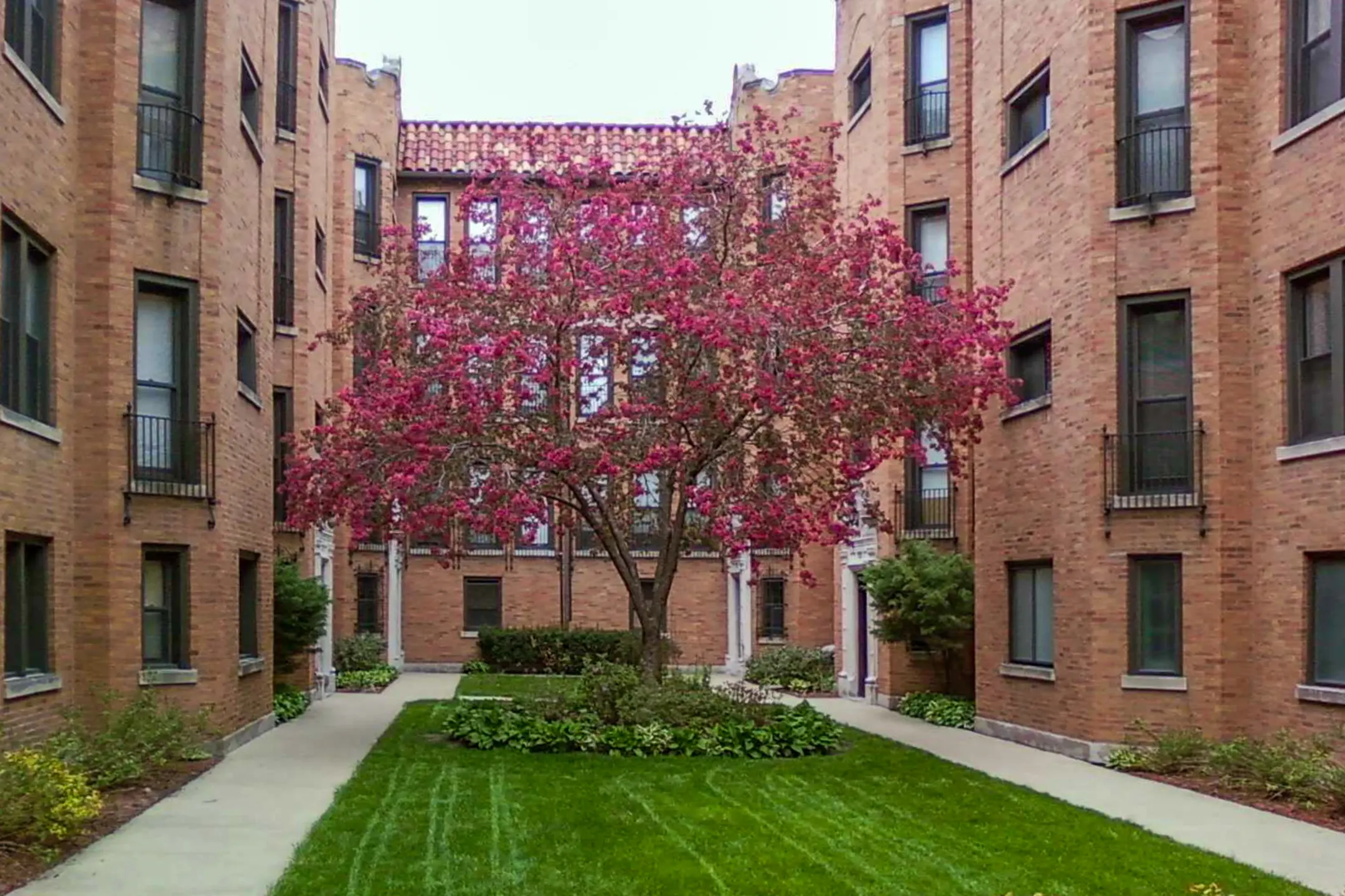 Farwell Apartments 1636 W Farwell Ave Chicago, IL Apartments for