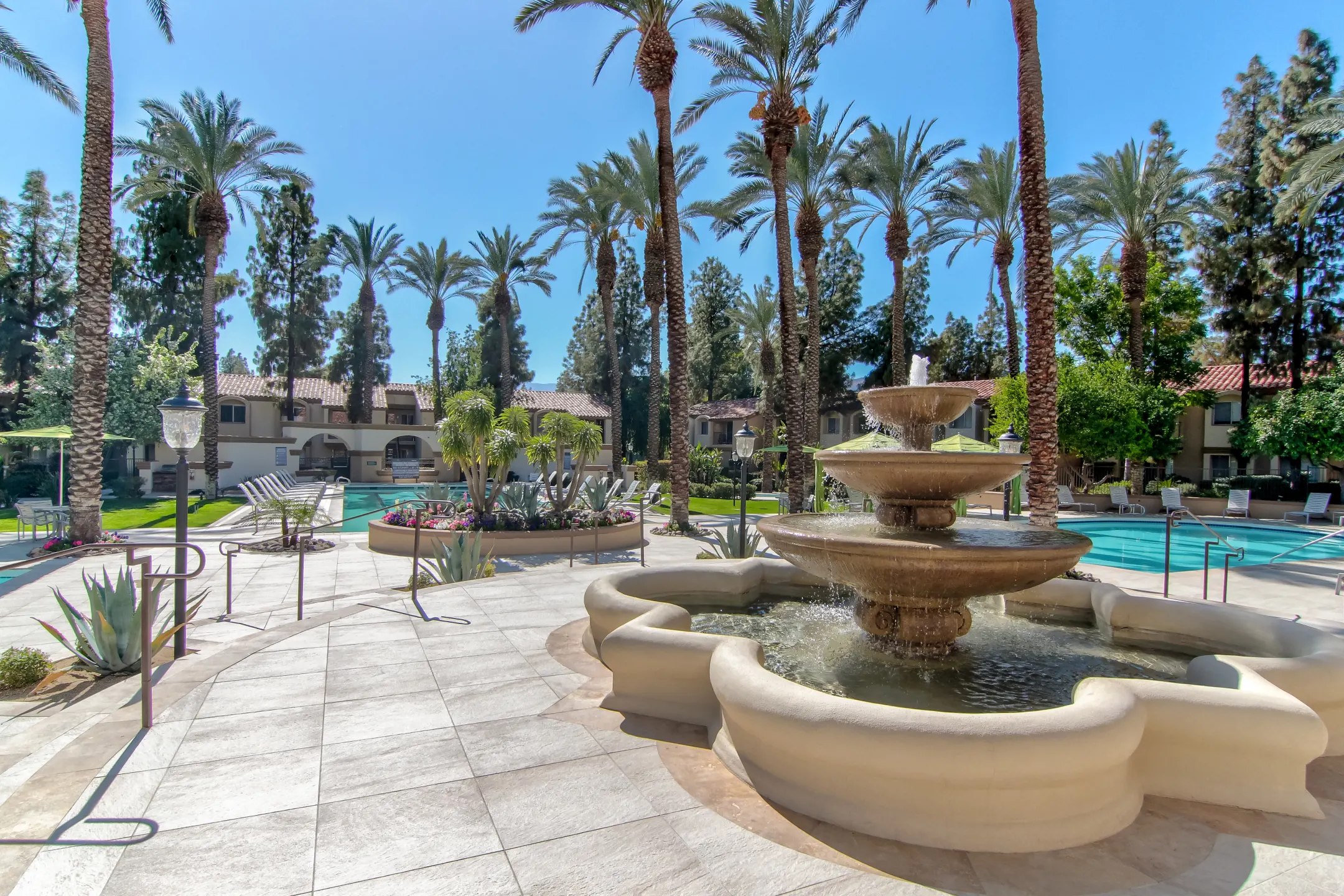 Pool - The Regent - Palm Desert, CA