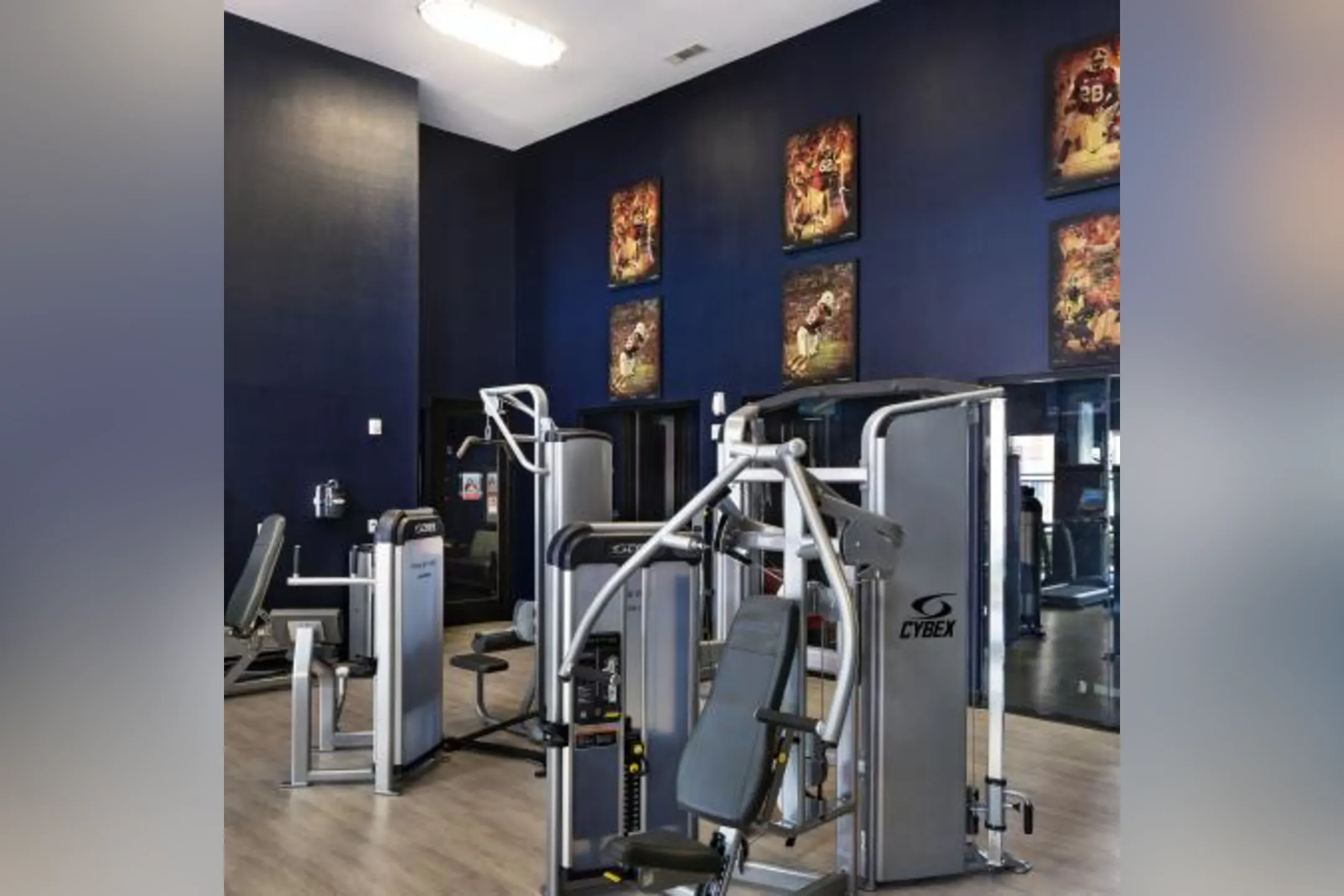 Fitness Weight Room - The Crimson - Per Bed Lease - Tuscaloosa, AL