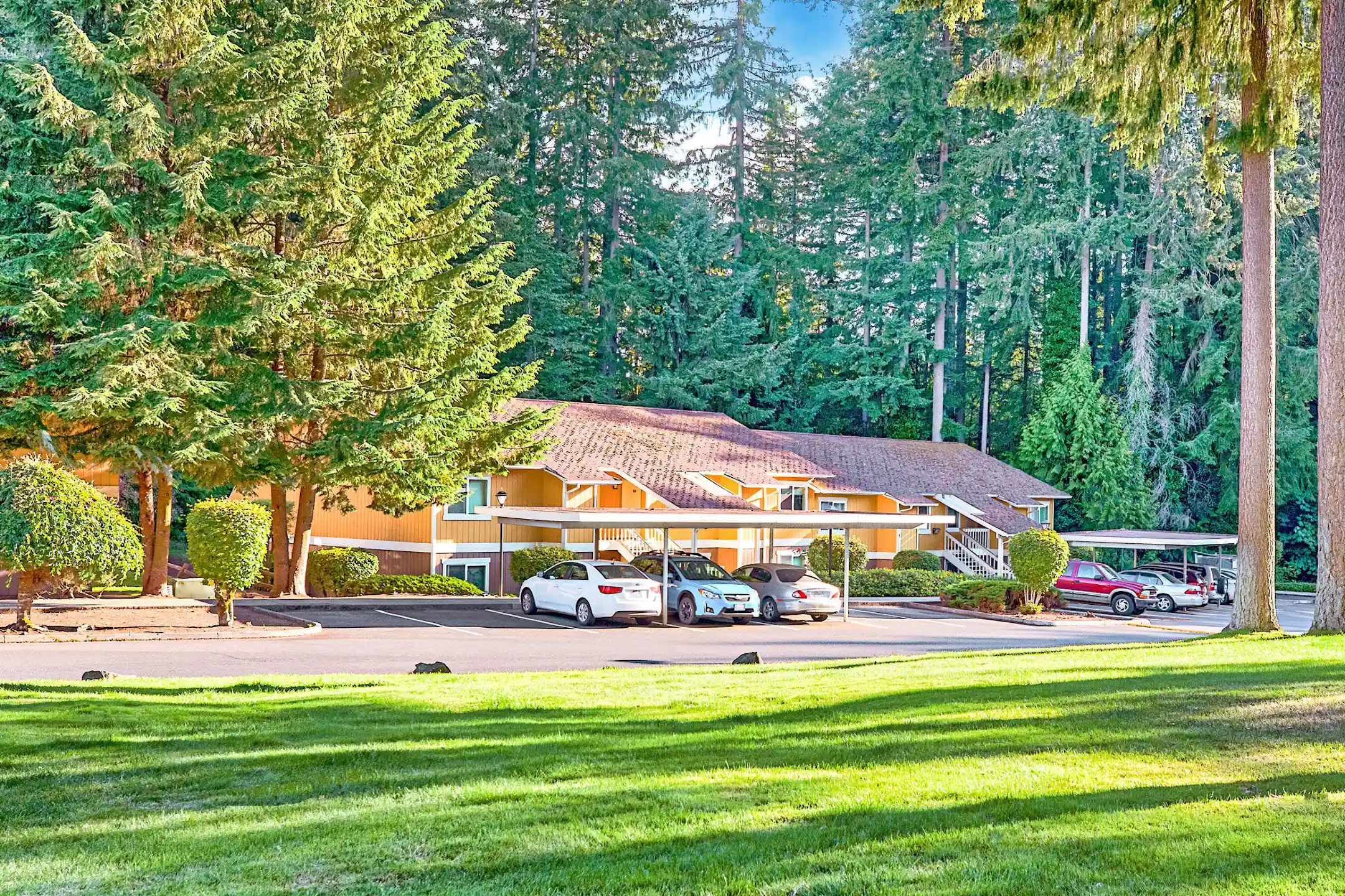 Forest Grove Apartments Apartments Lacey, WA 98503