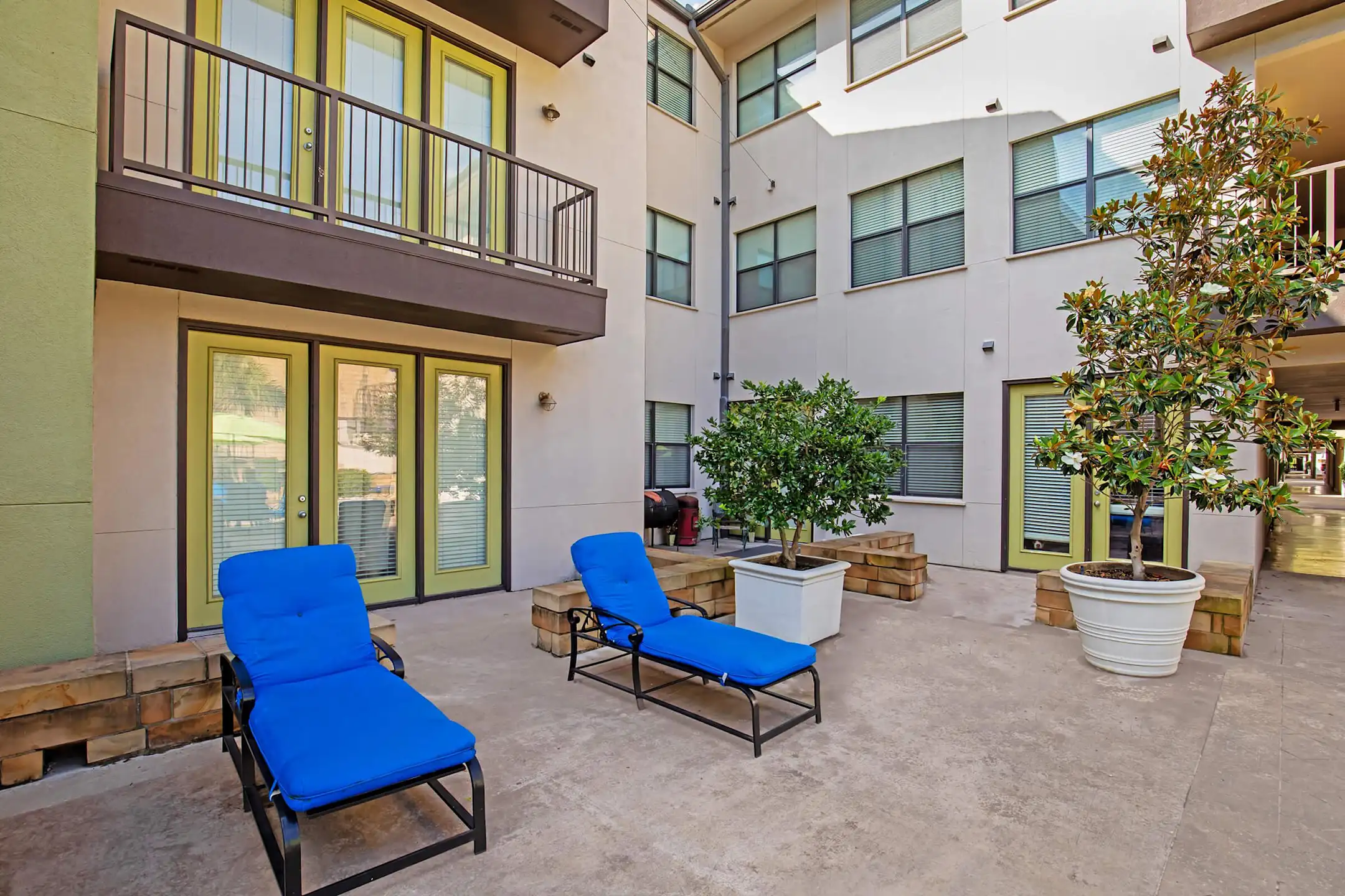 Vue Live Oak Apartment