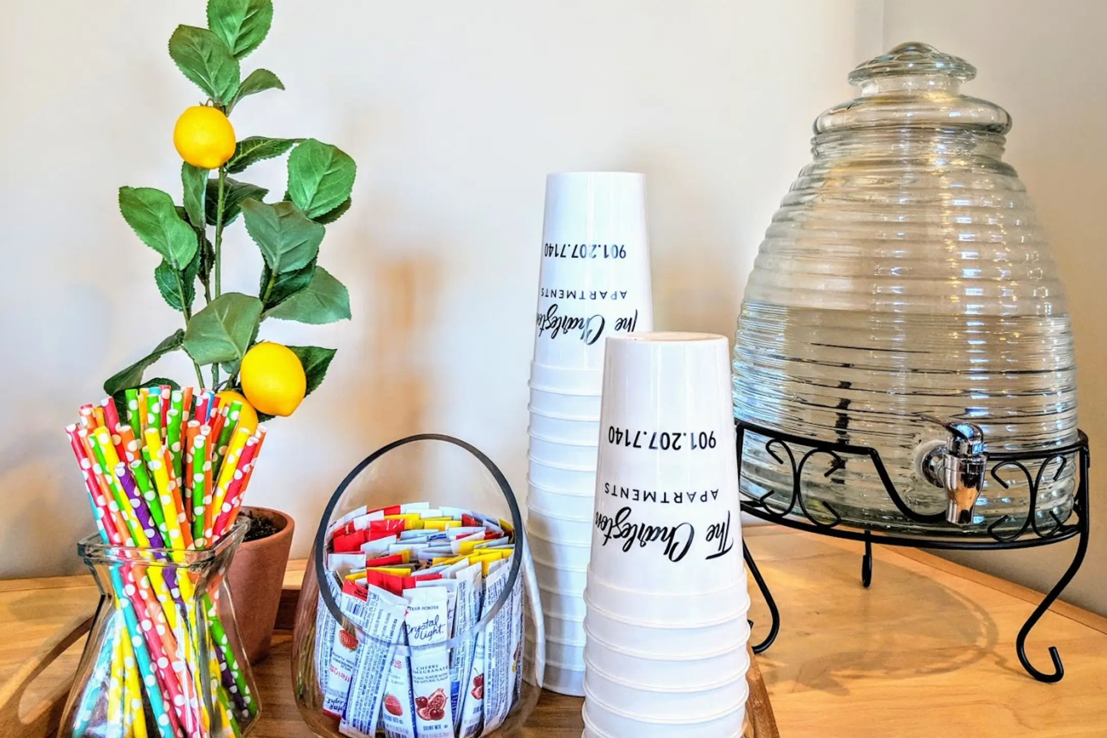 The Charleston Apartments 9951 N Gosling Circle Cordova, TN