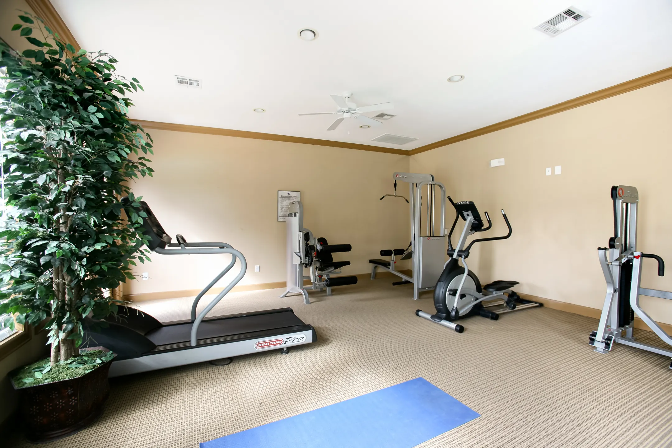 Fitness Weight Room - The Mansions At Turkey Creek - Humble, TX