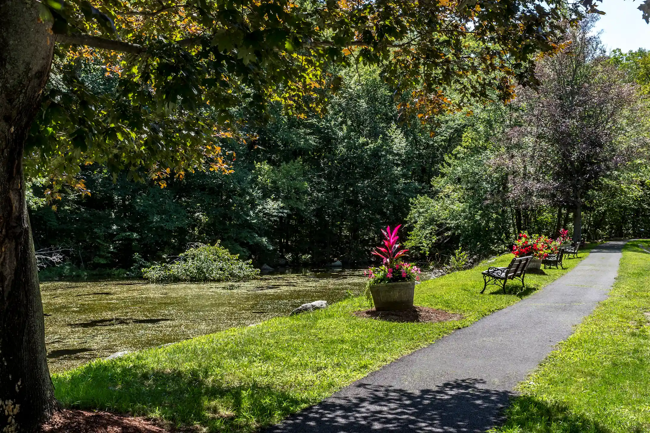 Redwood Hills Apartments Worcester, MA 01604