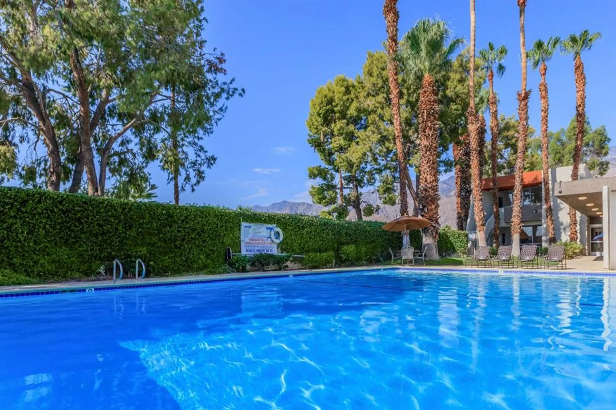 Pool - Mojave Blue - Palm Springs, CA