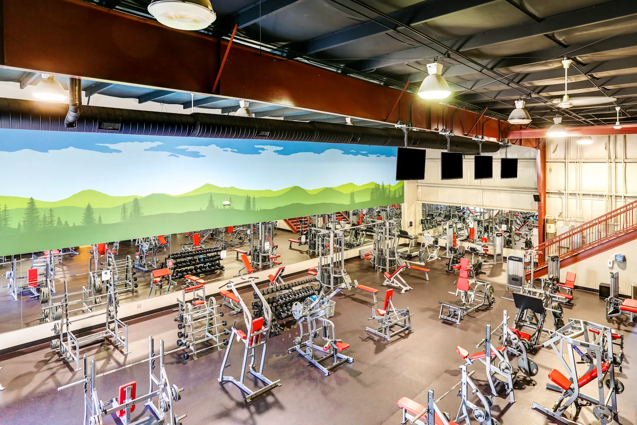 Fitness Weight Room - 10 Newbridge Apartments - Asheville, NC