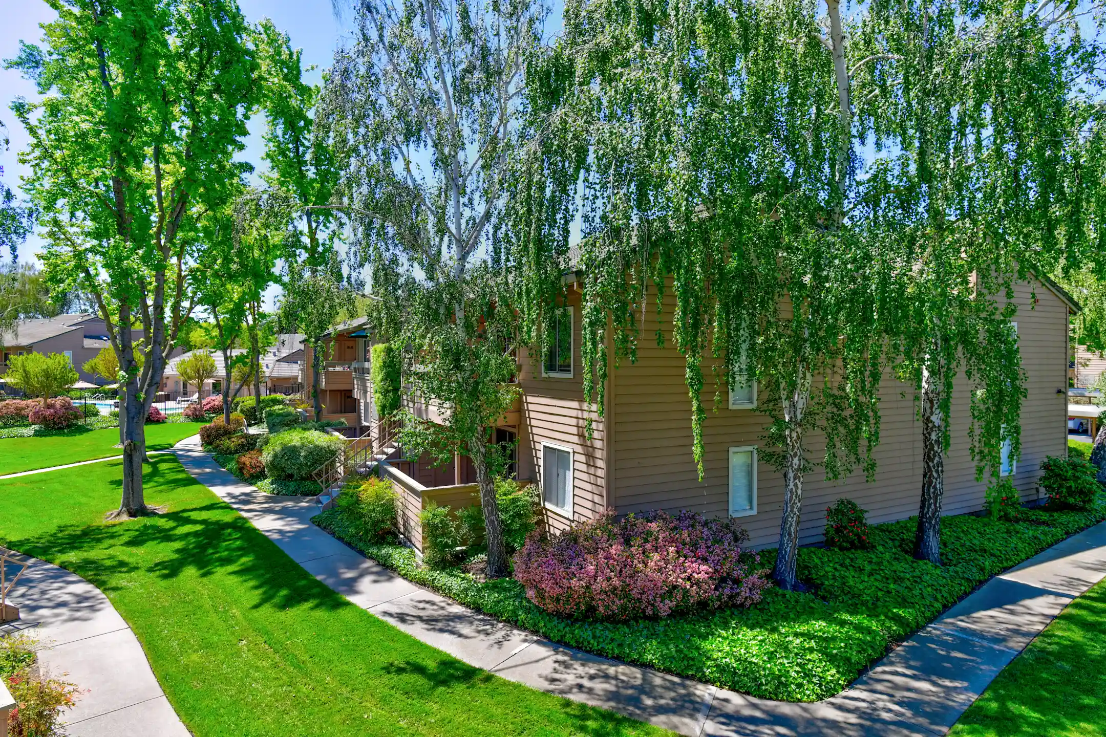 San Ramon Apts For Rent