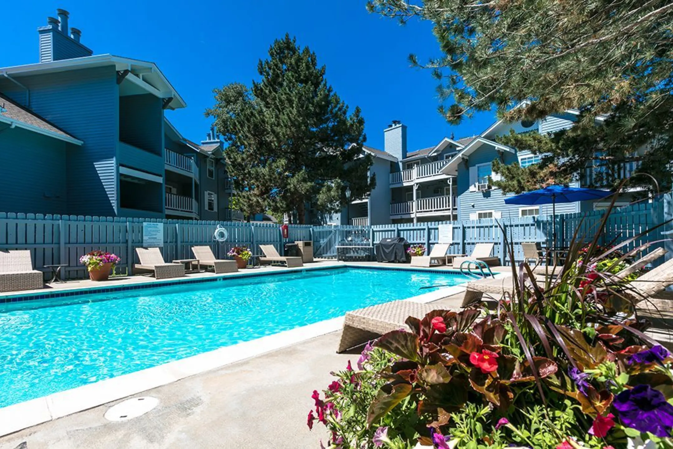 Pool - Victoria Inn Apartments - Longmont, CO
