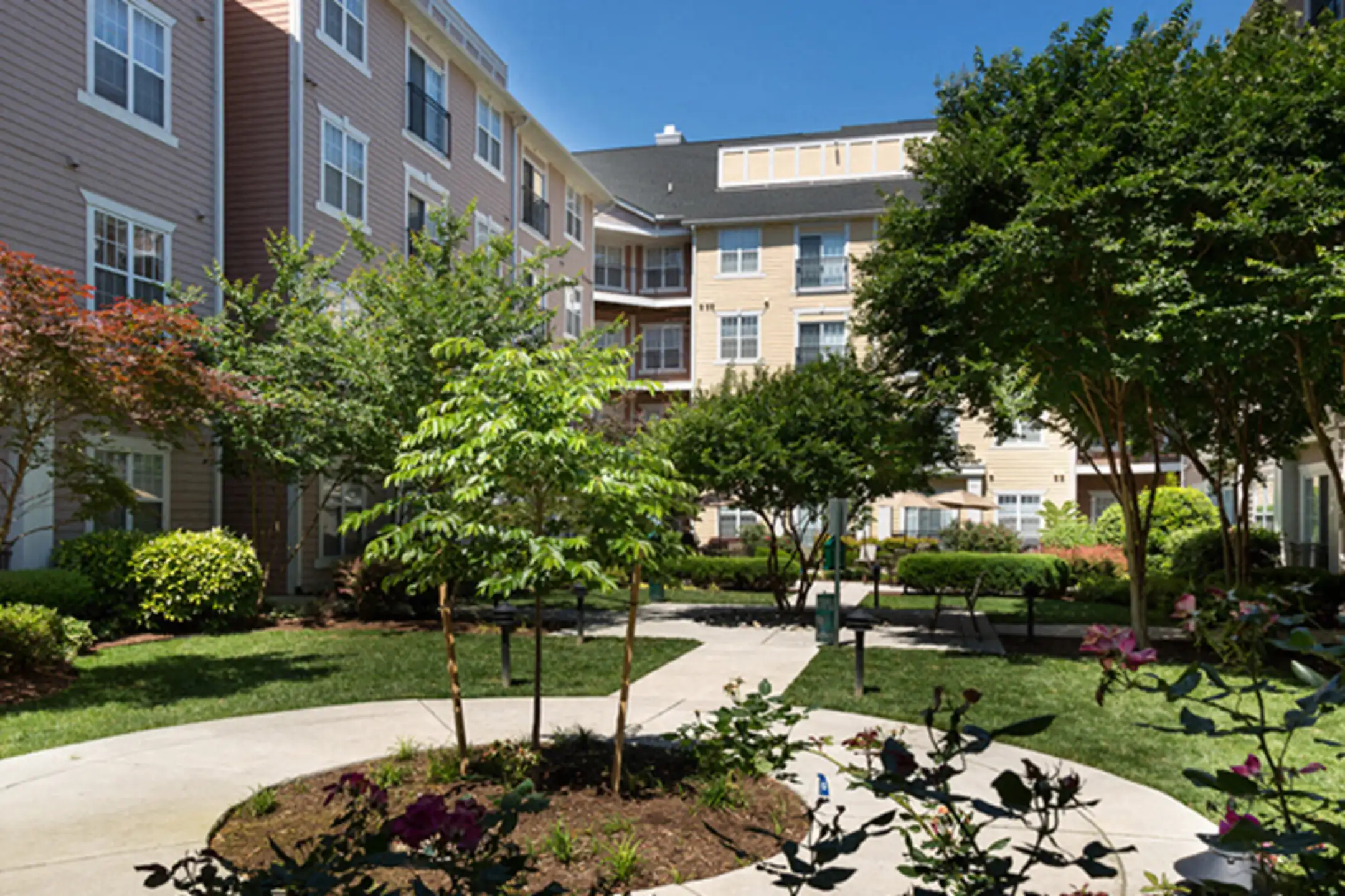 The Alexander at Ghent 1600 Granby St Norfolk, VA Apartments for