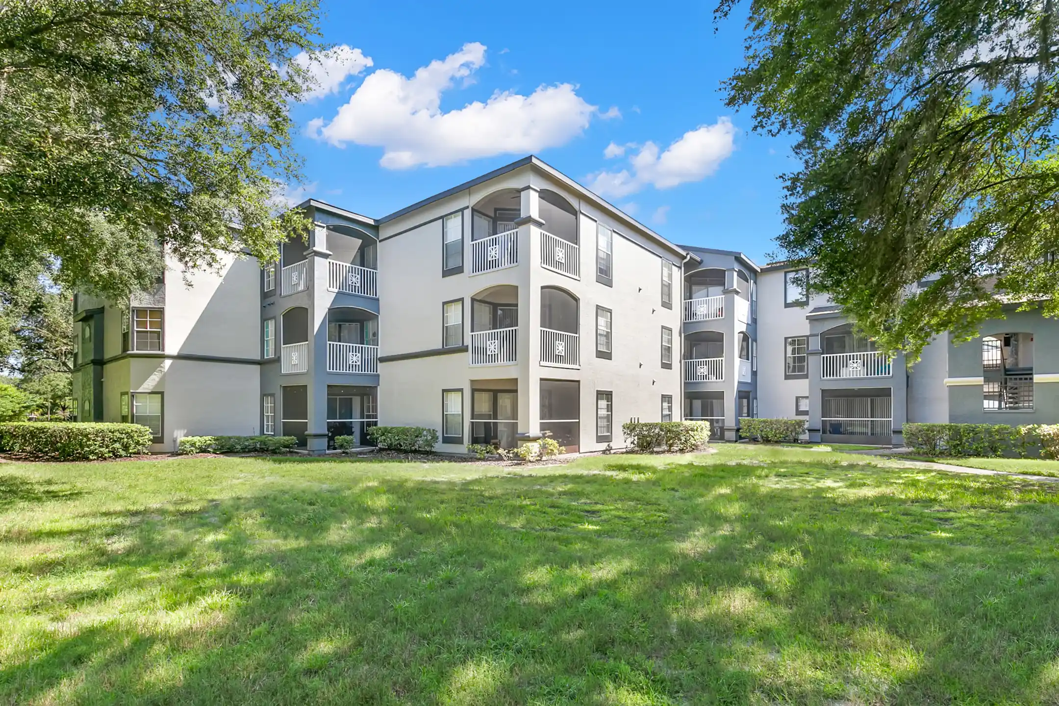 New Apartments Temple Terrace