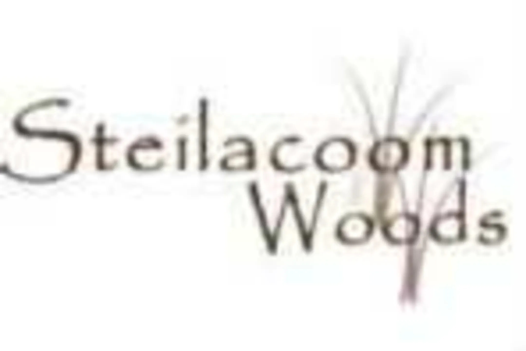 Steilacoom Woods - Steilacoom, WA