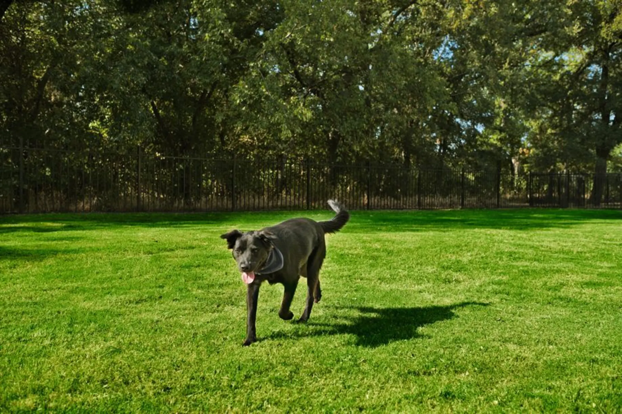 Camden Riverwalk Apartments 3800 Grapevine Mills Pkwy Grapevine, TX