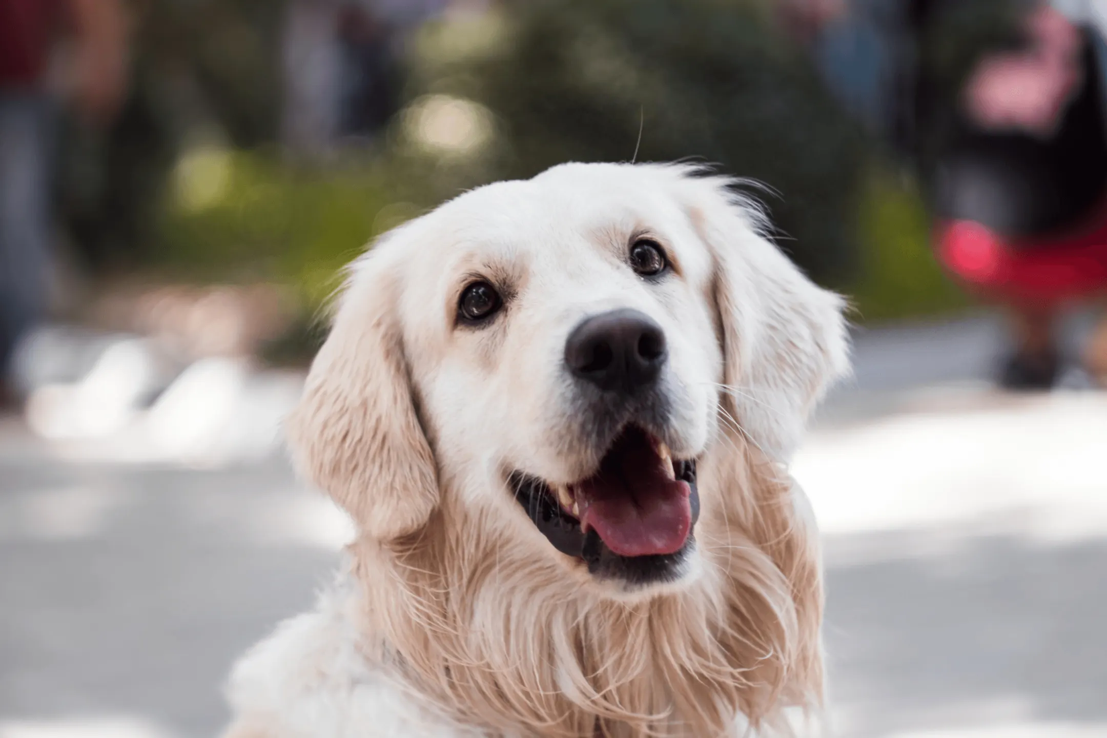 Elmwood Lake Apartments 5875 Balsam Drive Hudsonville, MI