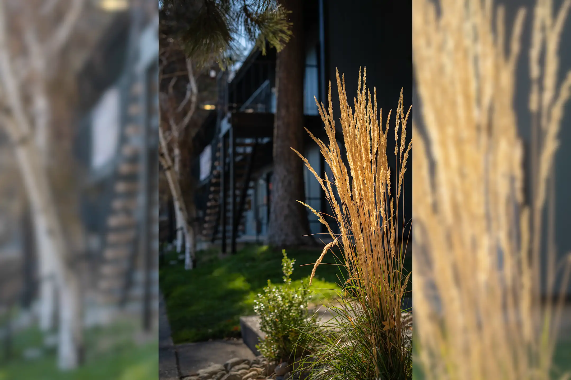 LEV Apartments Apartments Reno, NV 89503