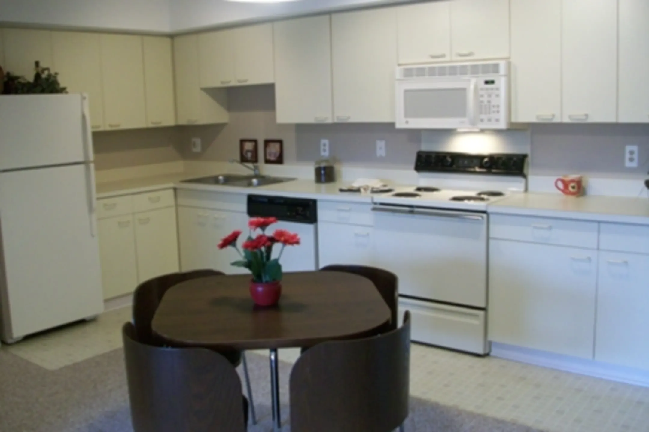 Kitchen - Tree Tops Apartments - Northville, MI
