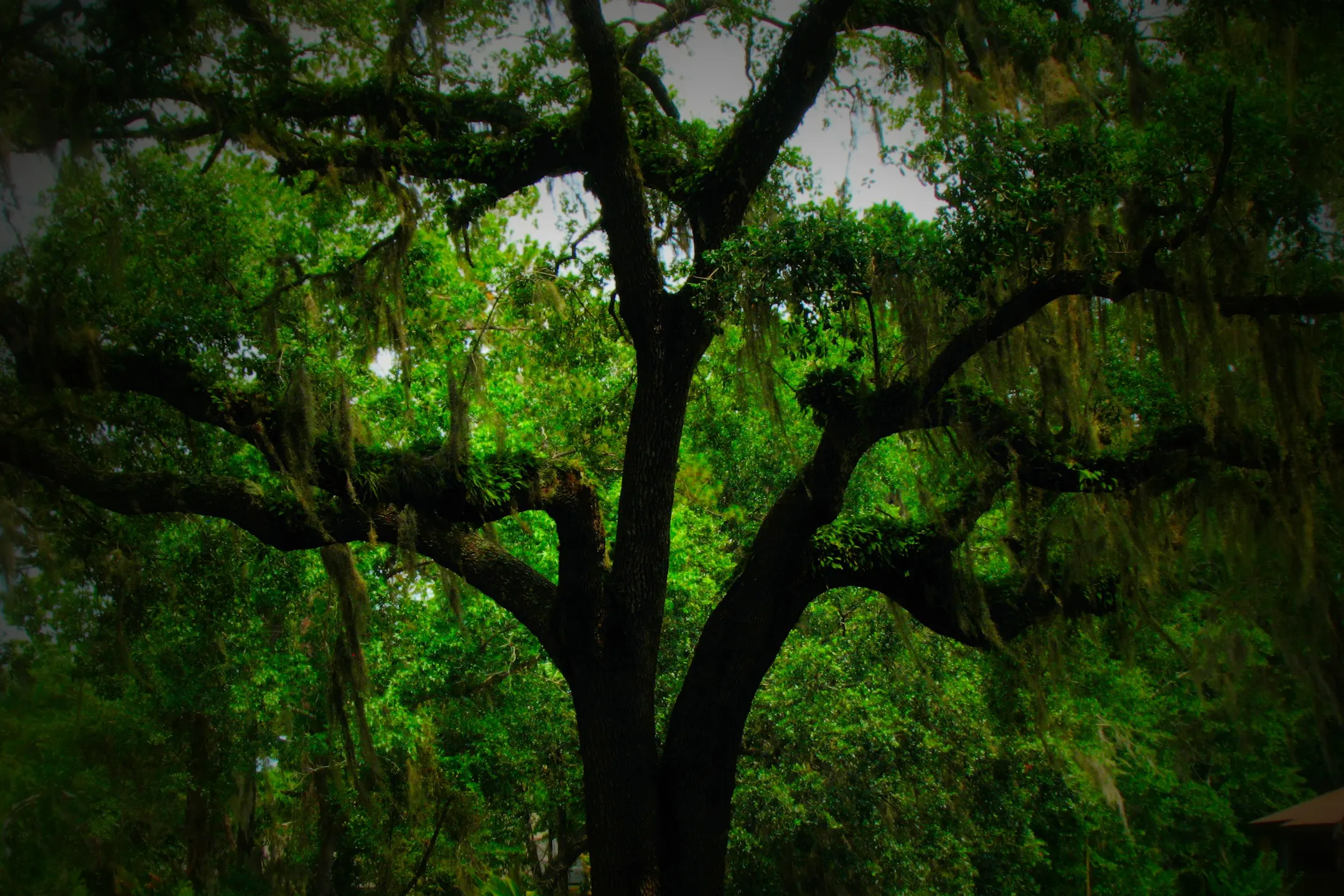 Mandarin Lanai 3909 Sunbeam Rd Jacksonville, FL Apartments for Rent