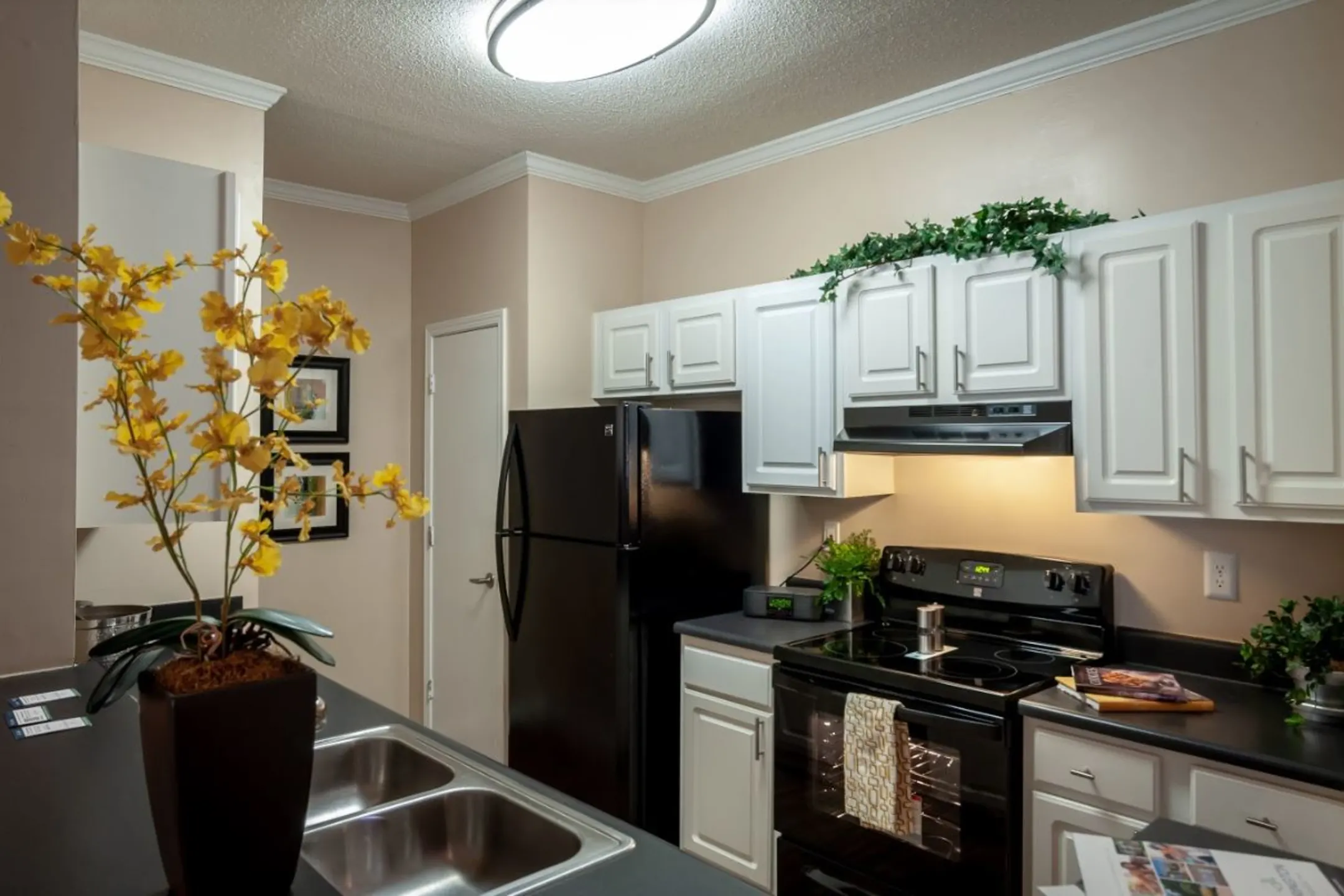 Carrington Park Apartments Jonesboro Ga