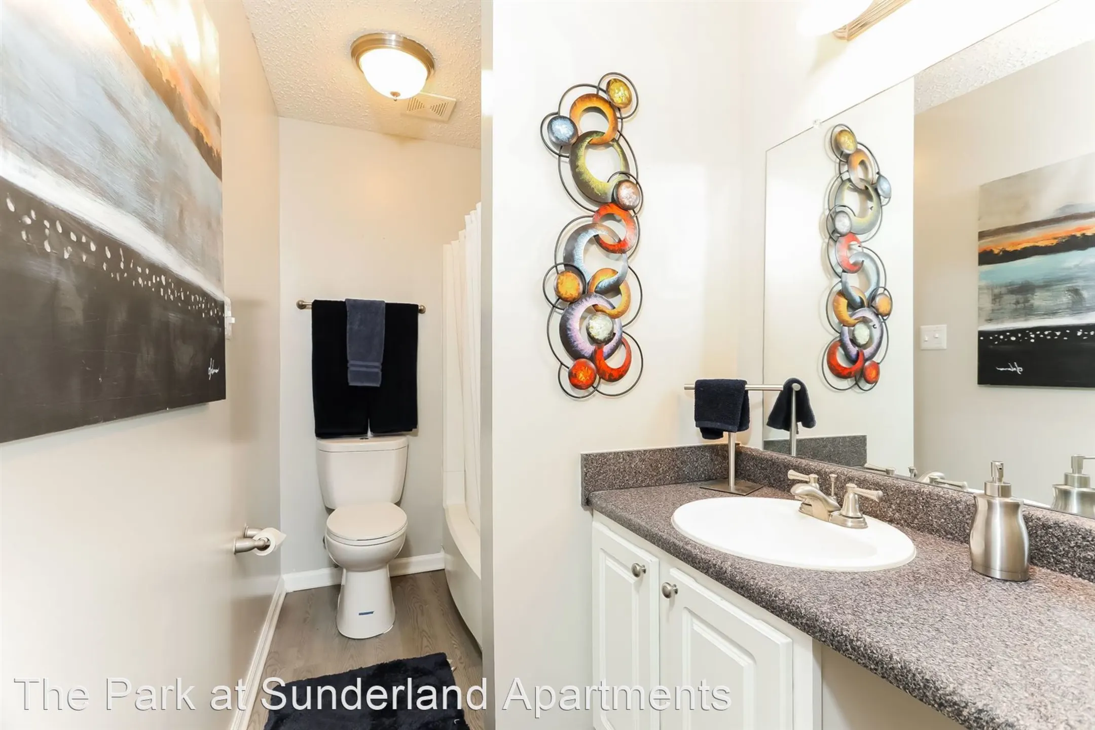 Bathroom - The Park at Sunderland - Birmingham, AL