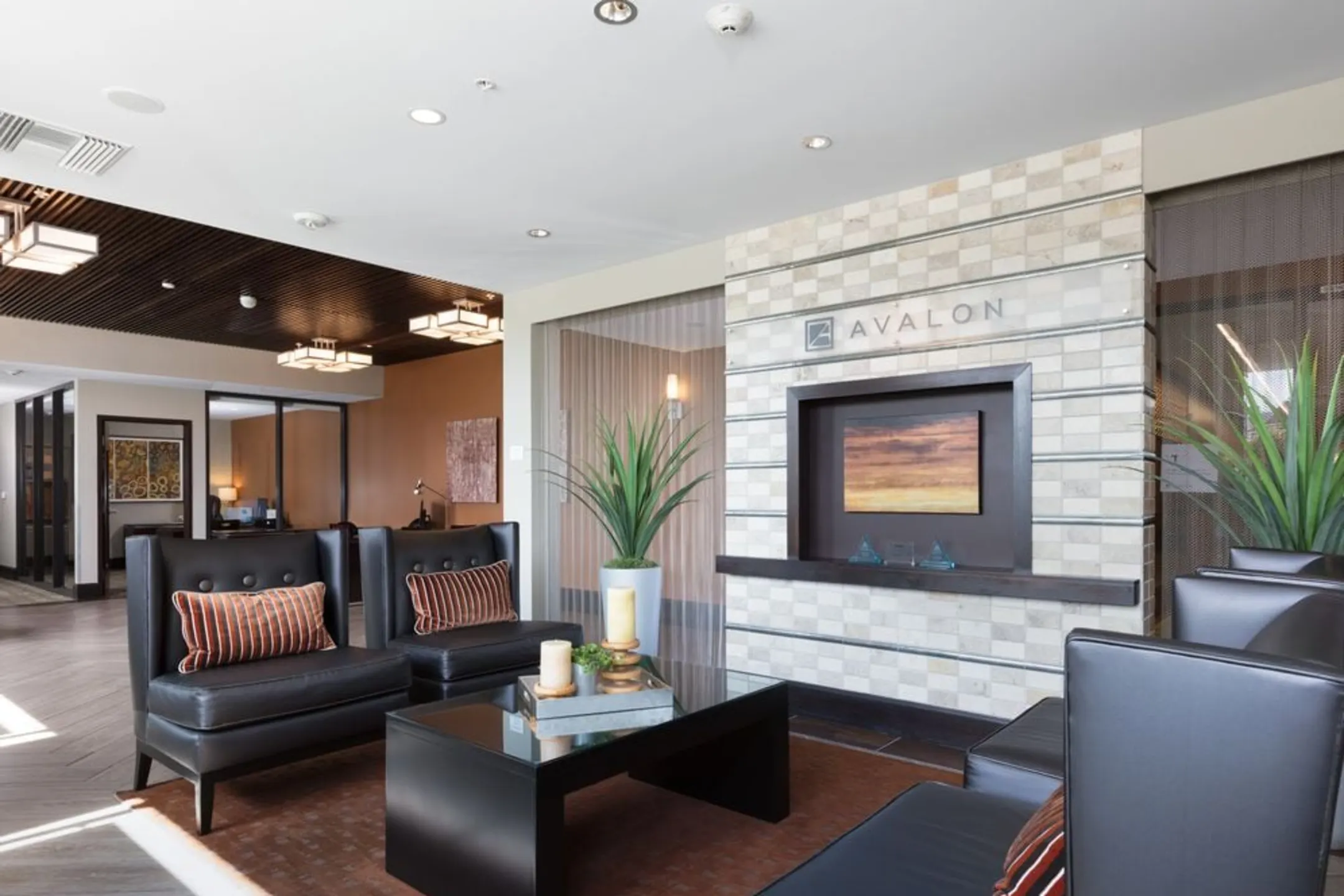 Living Room - Avalon Ocean Avenue - San Francisco, CA