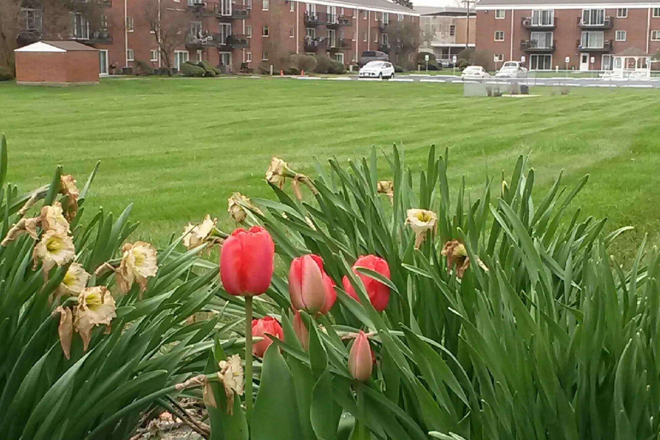 Equity Property Management 7104 Broadway Merrillville, IN