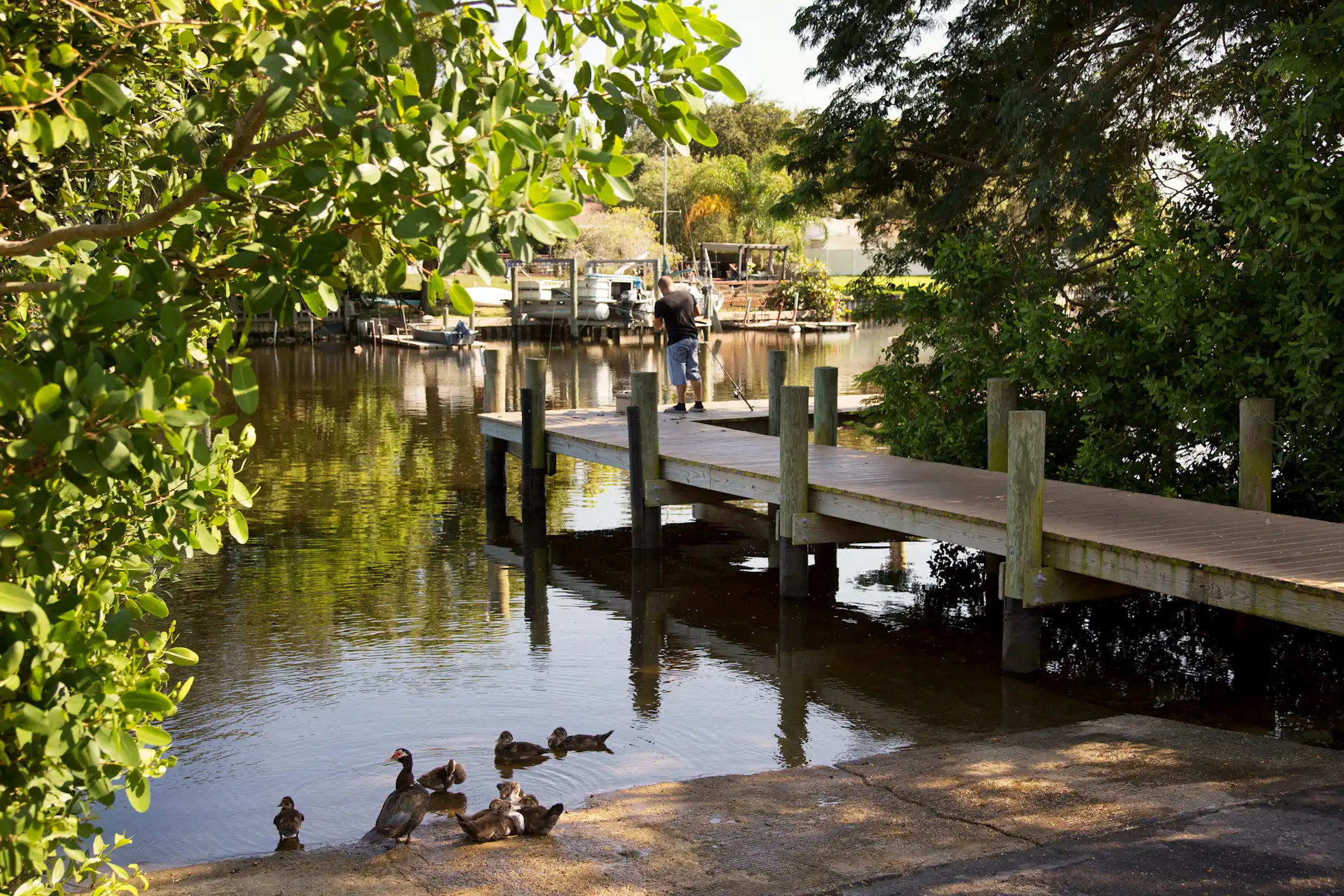 Camden Bay Apartments Tampa Fl