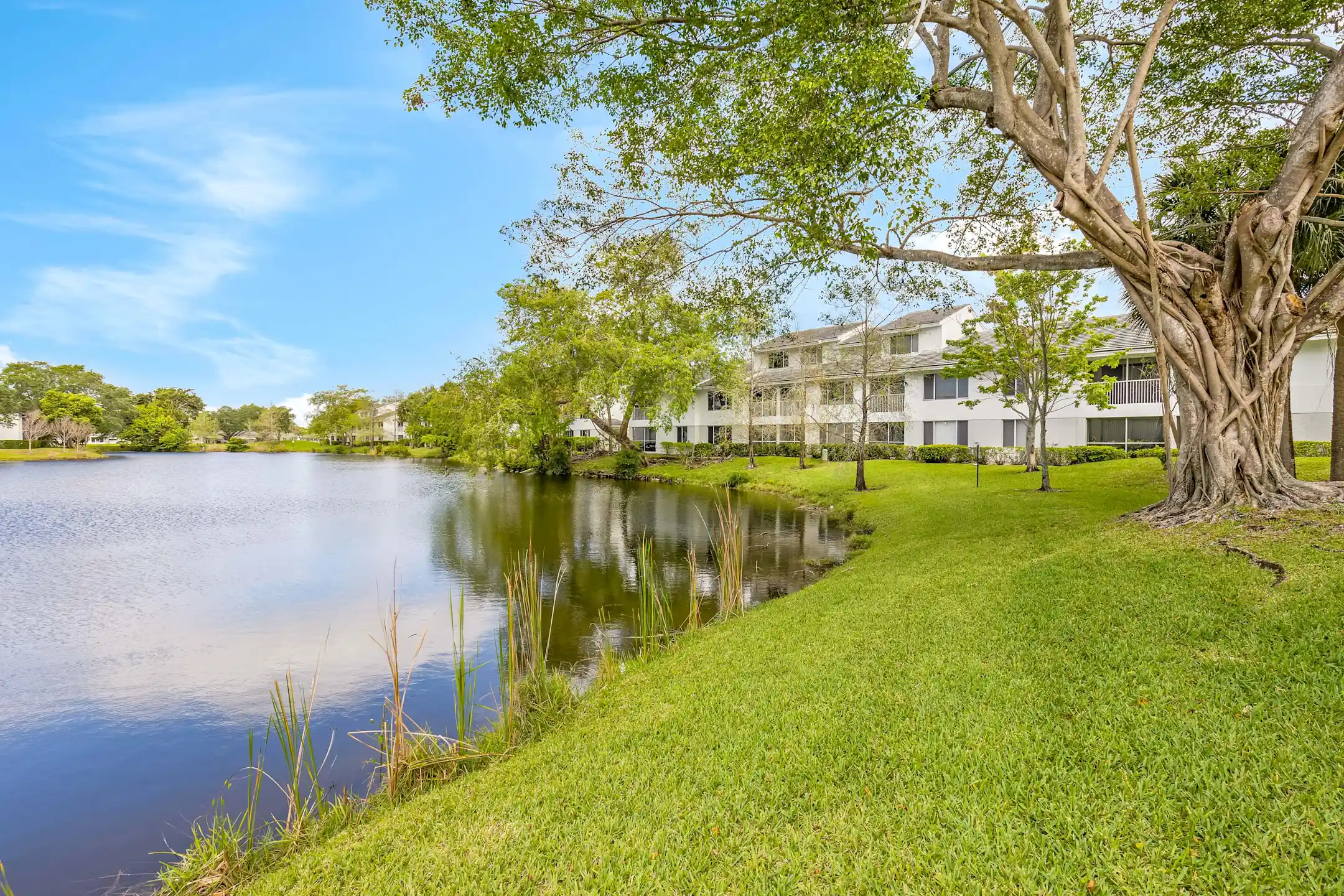 Lakepointe at Jacaranda Apartments - Plantation, FL