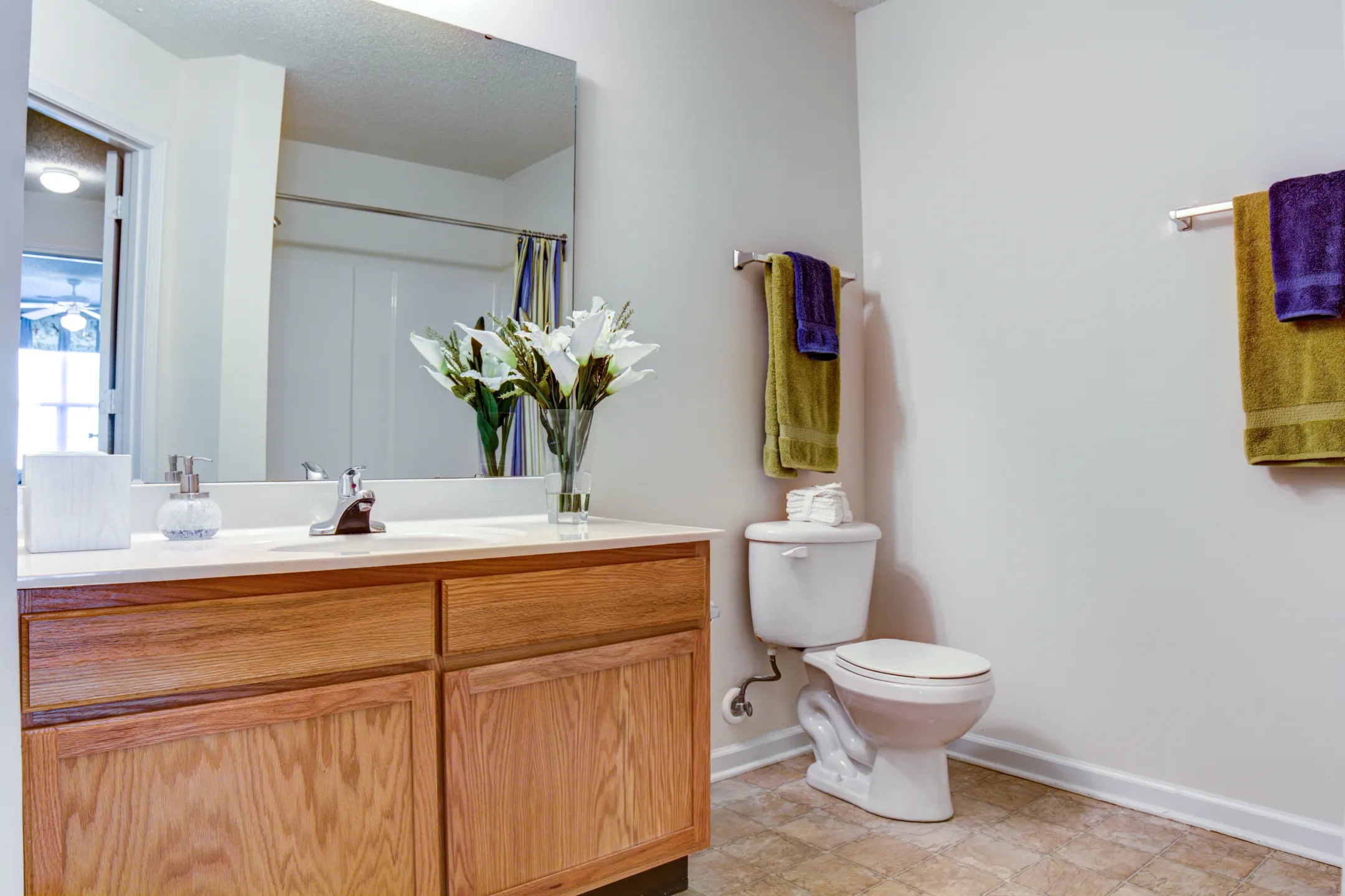 Bathroom - Blackthorn Apartments - Greensboro, NC