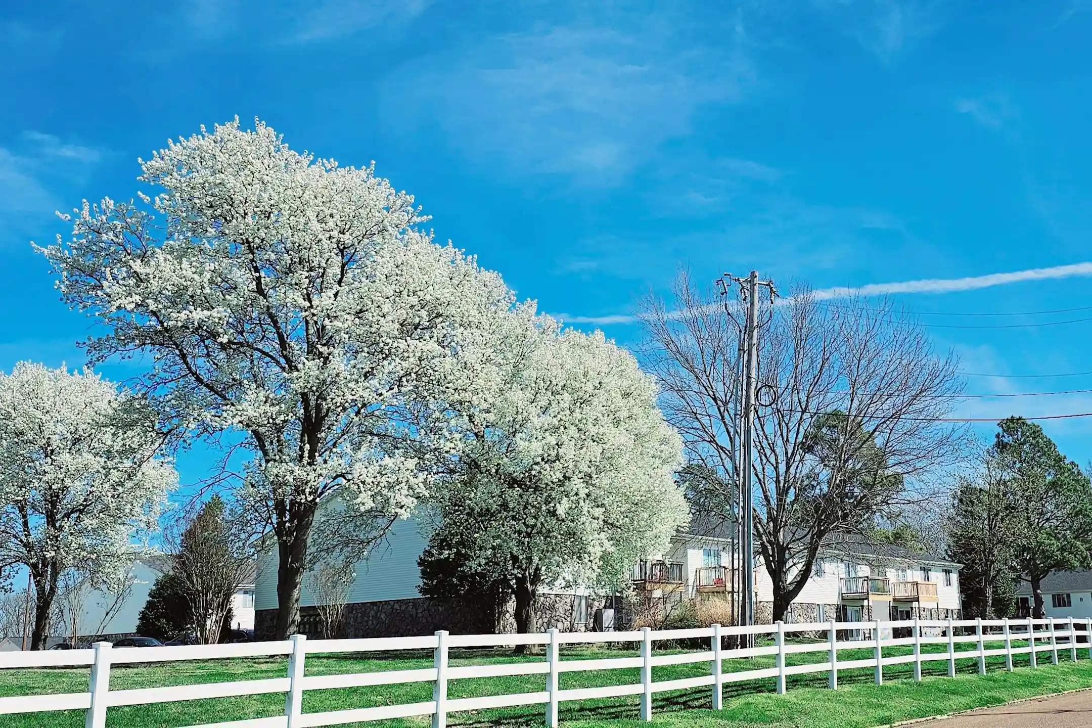 Hillwood Apartments 1732 Stone St Union City, TN Apartments for