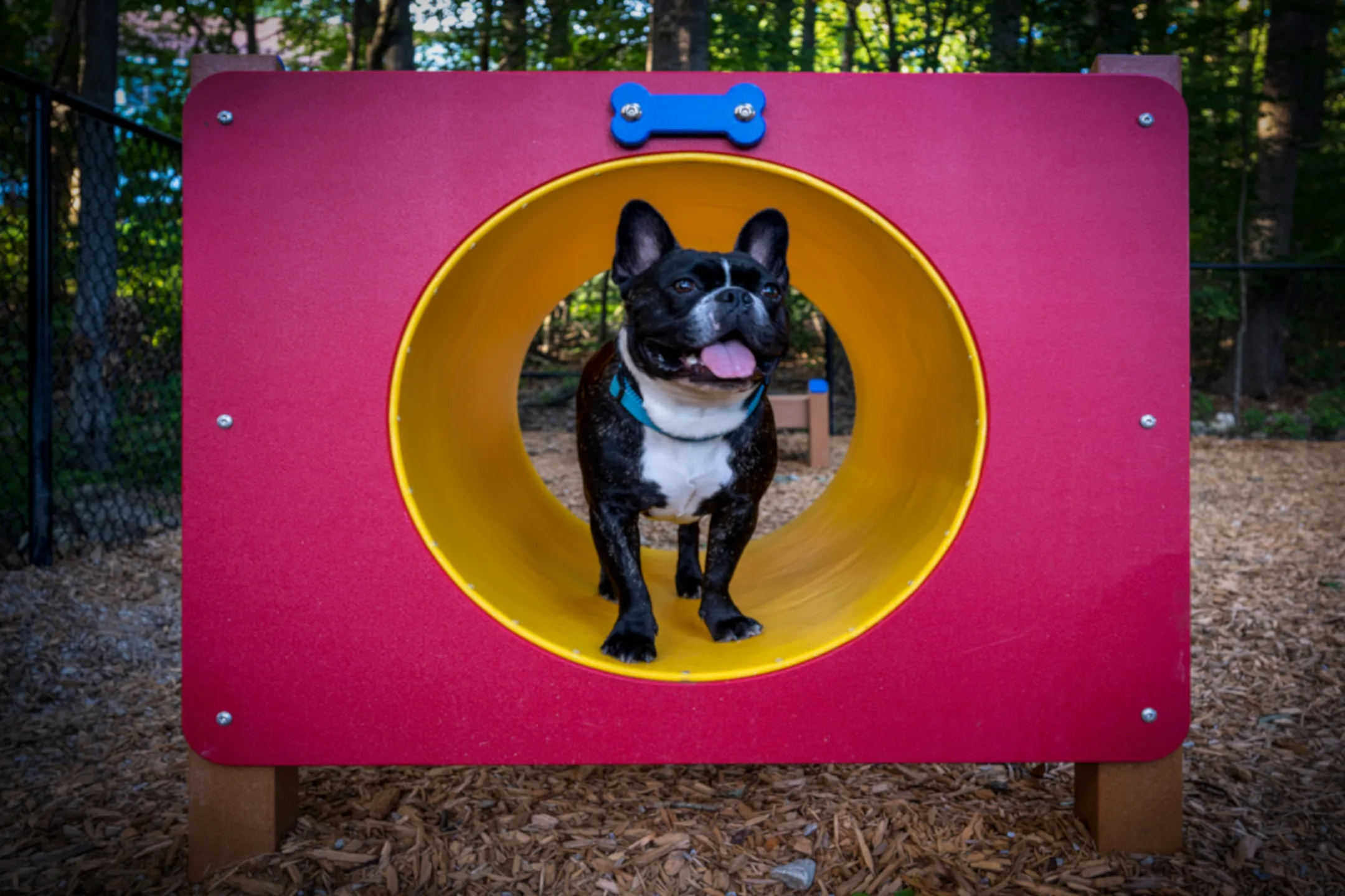 Halstead Countryside Apartments Manchester, NH 03102
